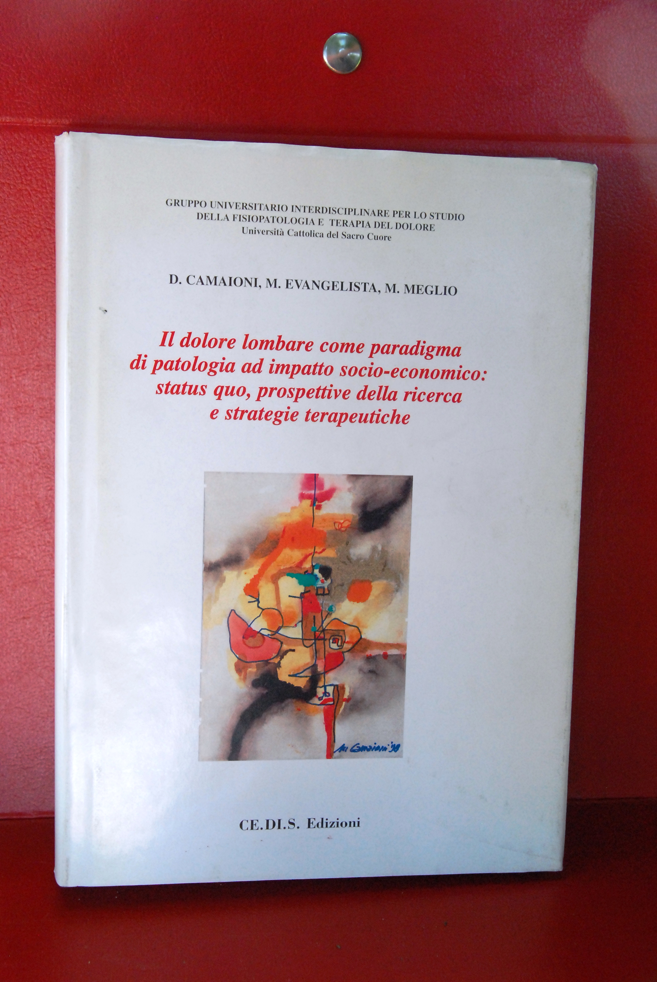 il dolore lombare come paradigma di patologia ad impatto socio …