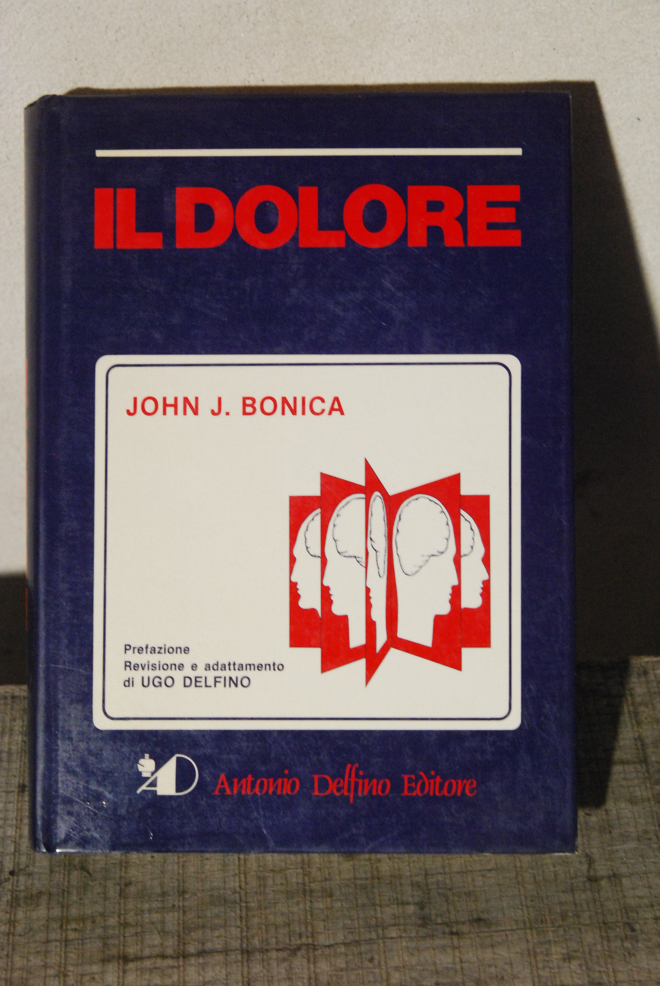 il dolore NUOVO
