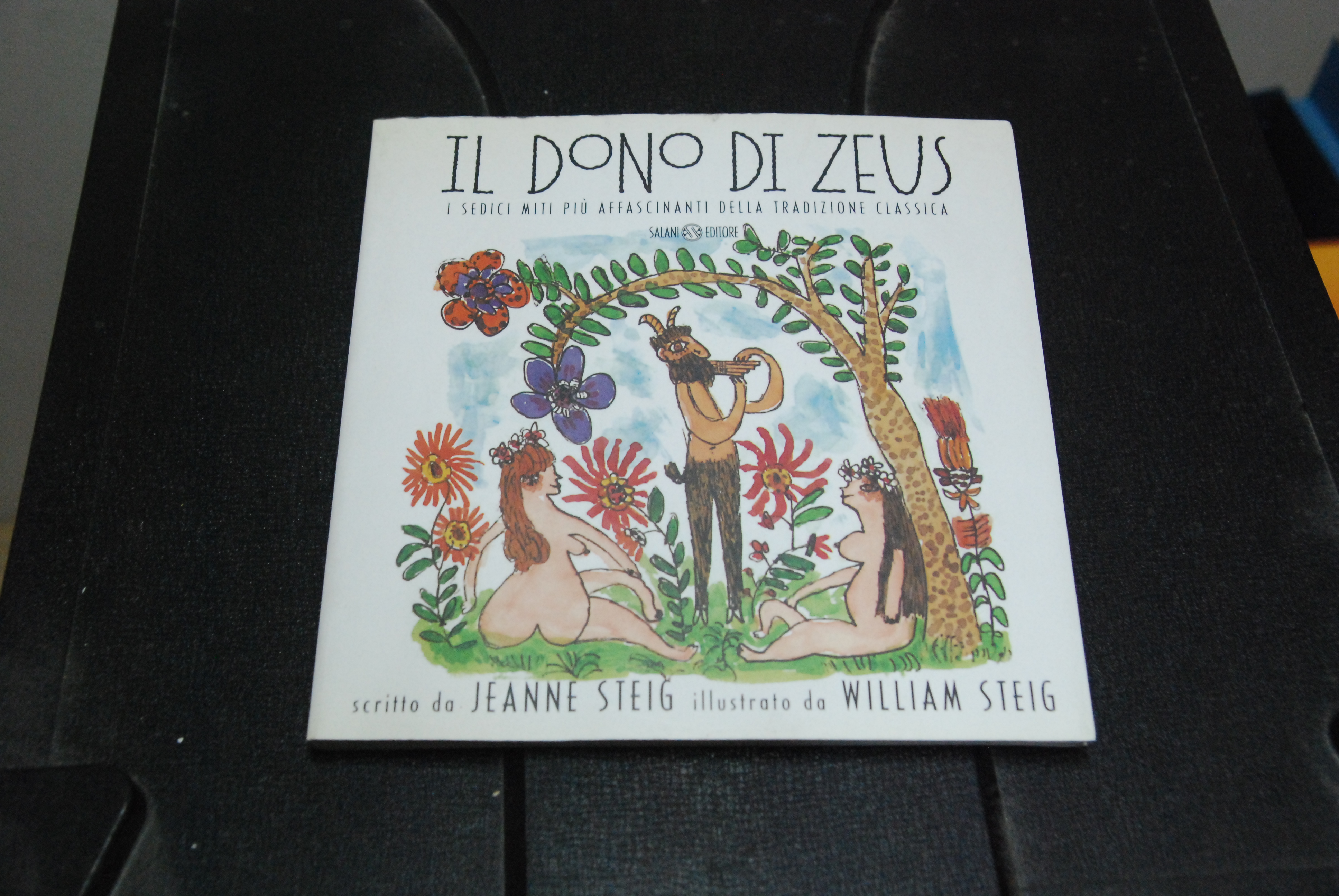 il dono di zeus NUOVO