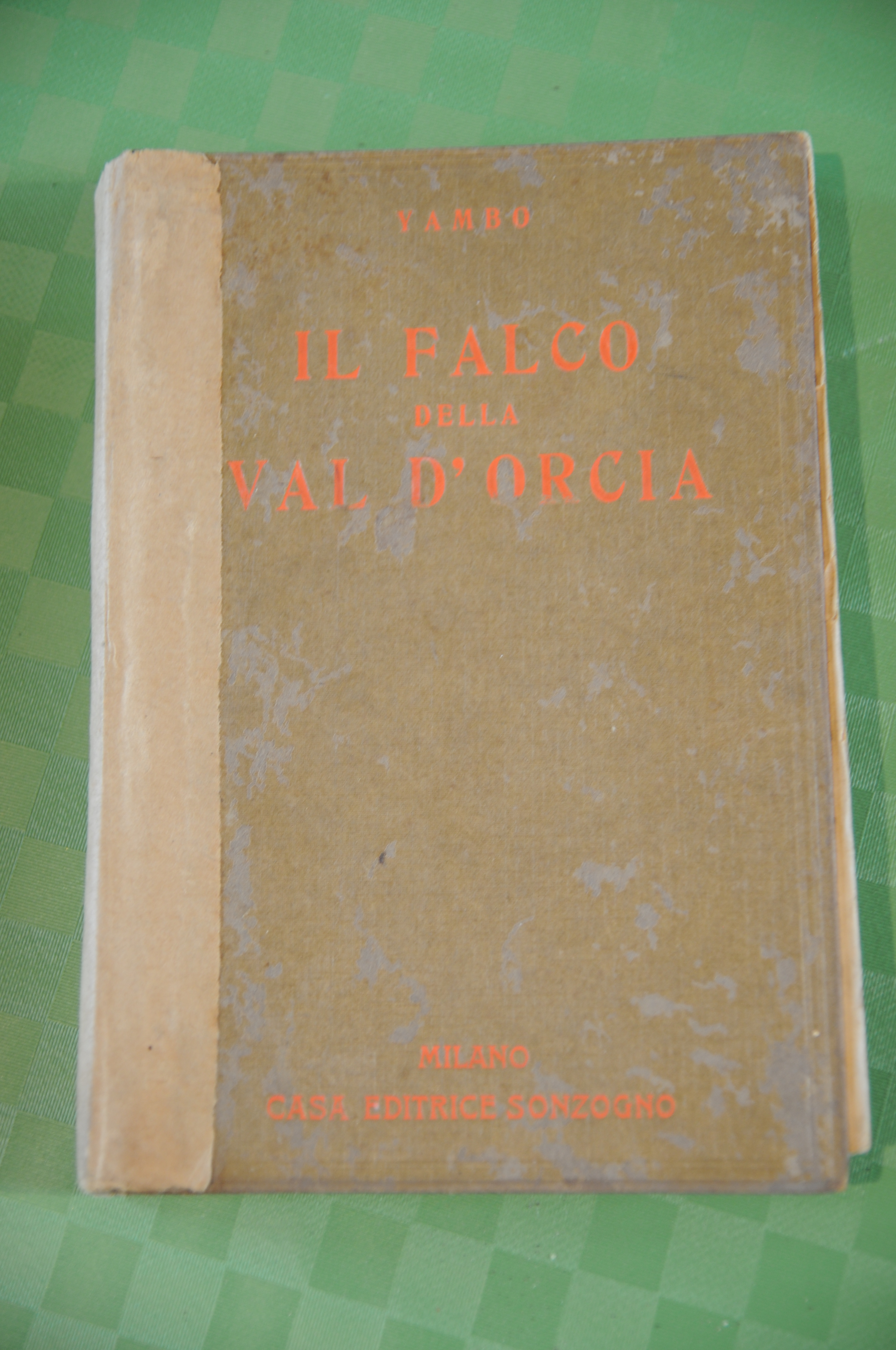 il falco della val d'orcia autografato copia 688