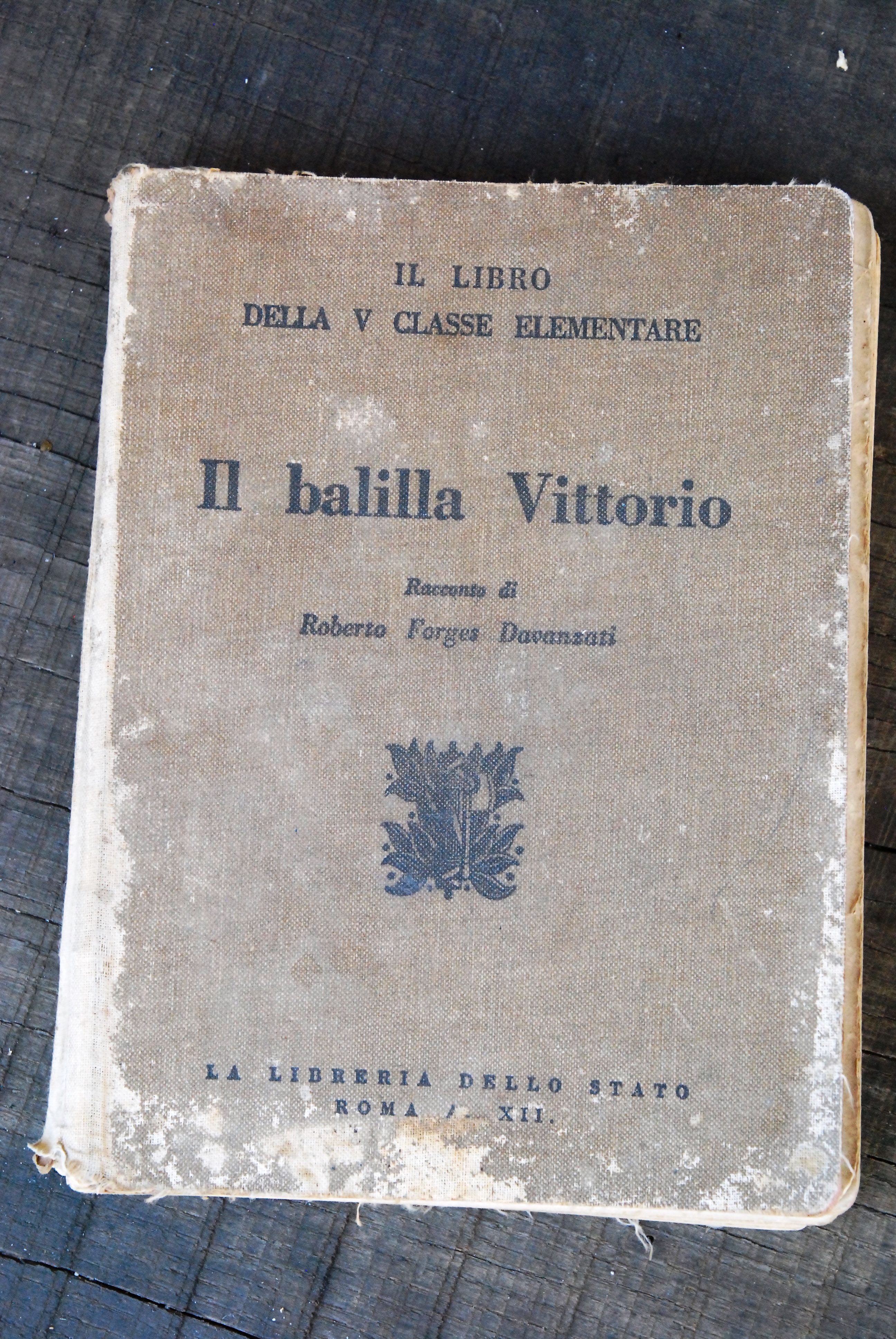 il libro della v classe elementare