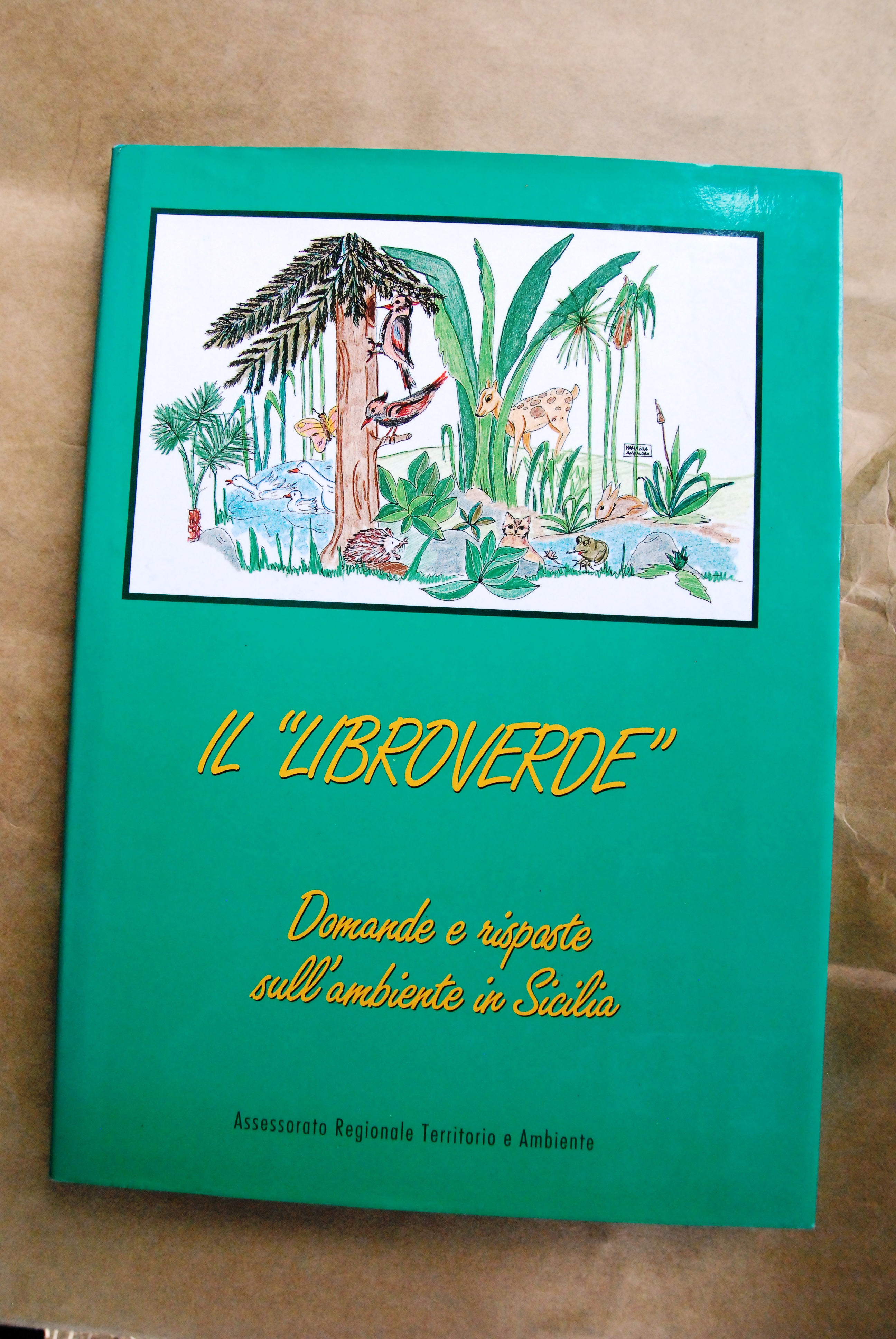 il libroverde domande e risposte sull'ambiente in sicilia NUOVO