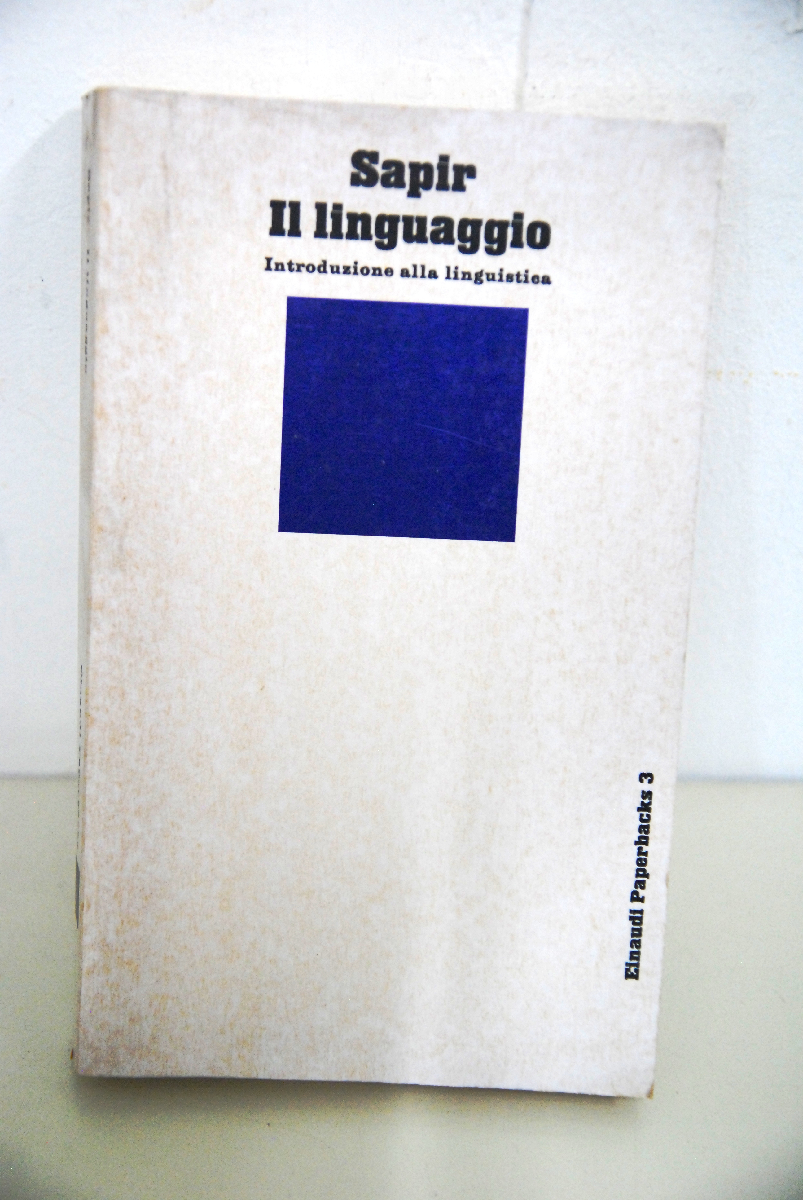 il linguaggio