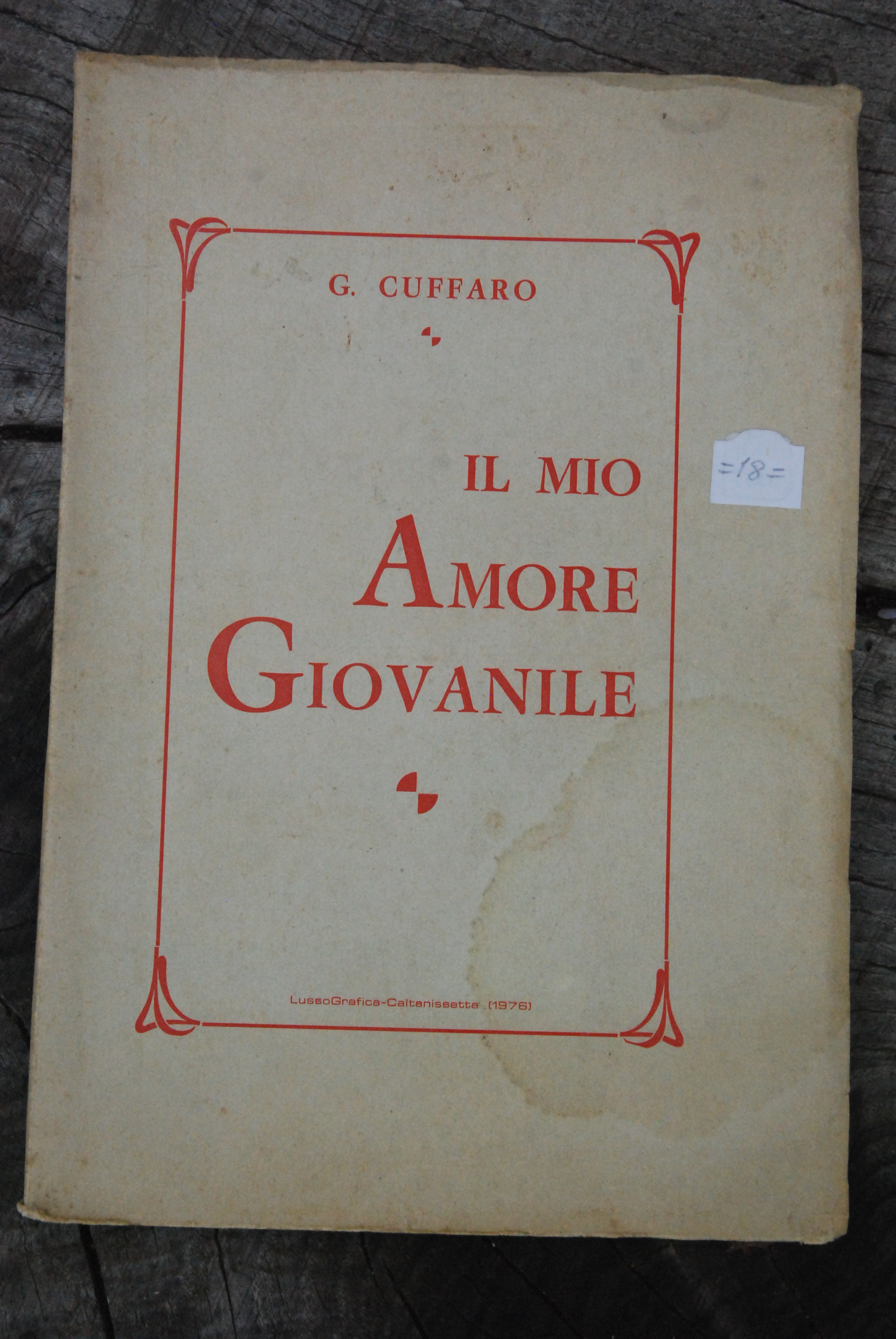 il mio amore giovanile