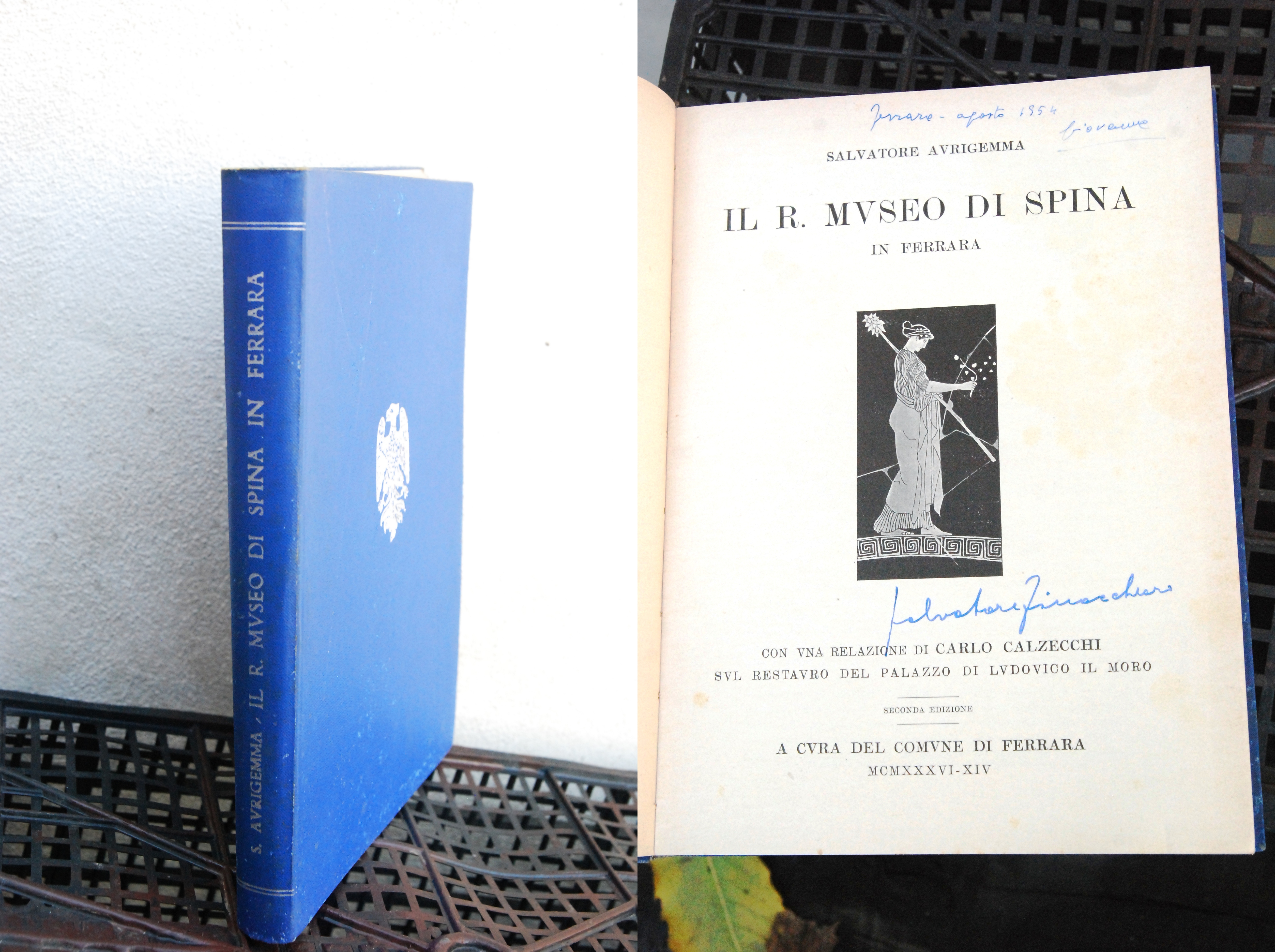 il museo di spina in ferrara NUOVO