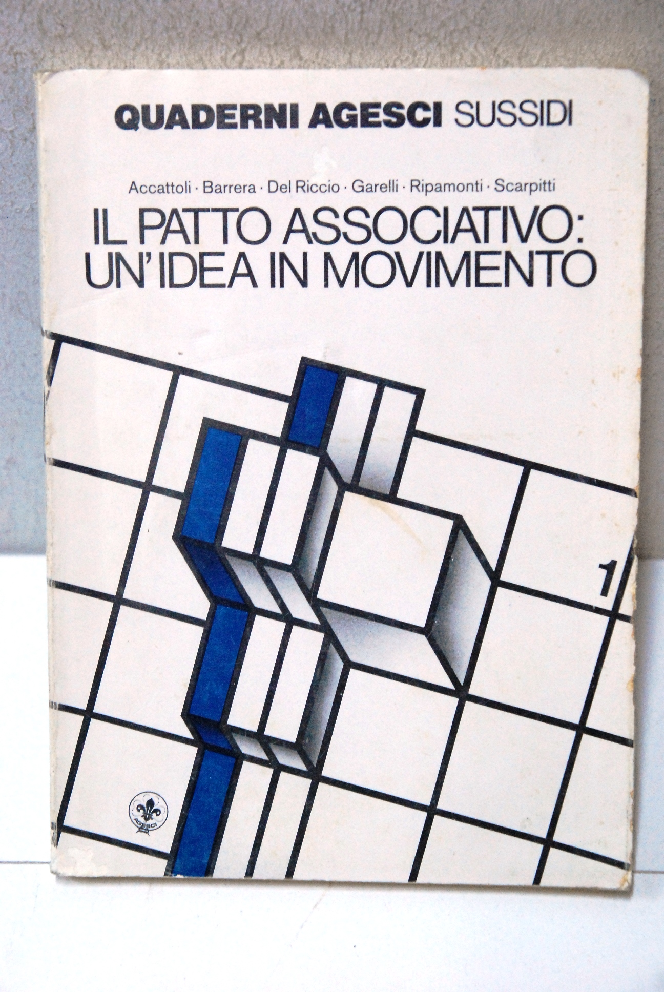 il patto associativo un'idea in movimento