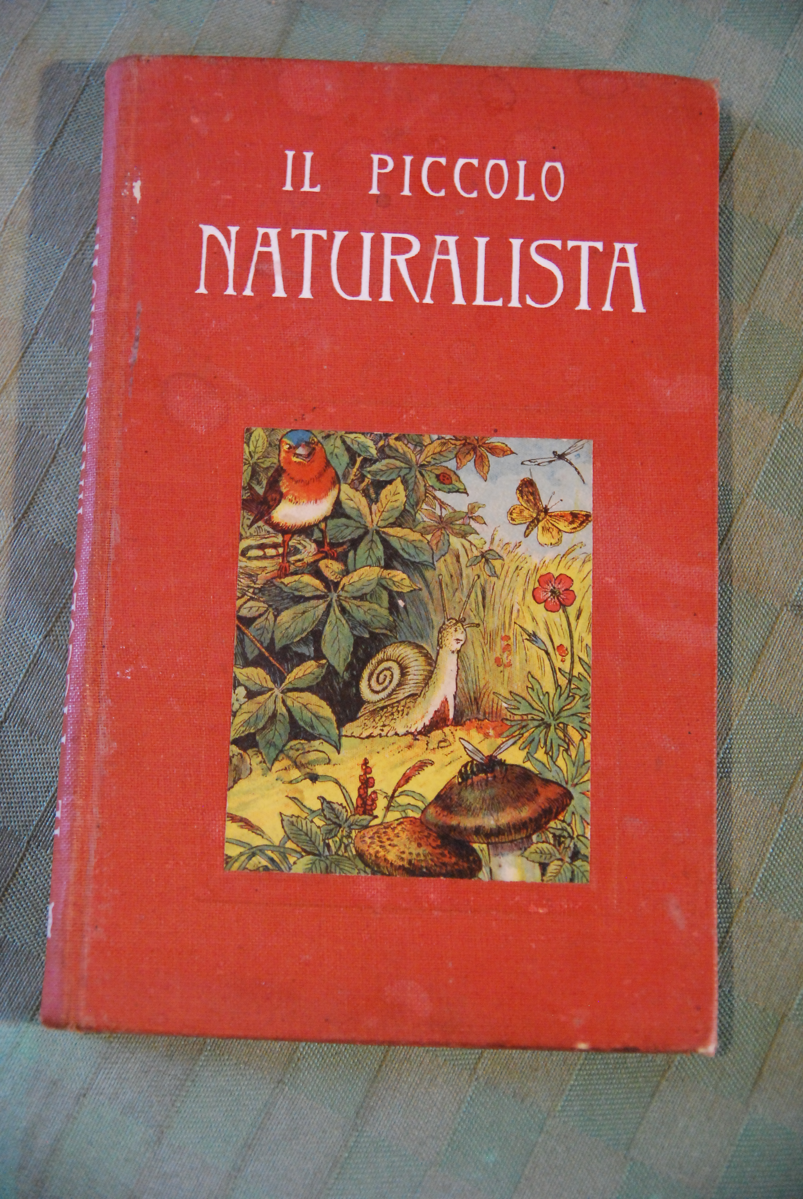 IL PICCOLO NATURALISTA