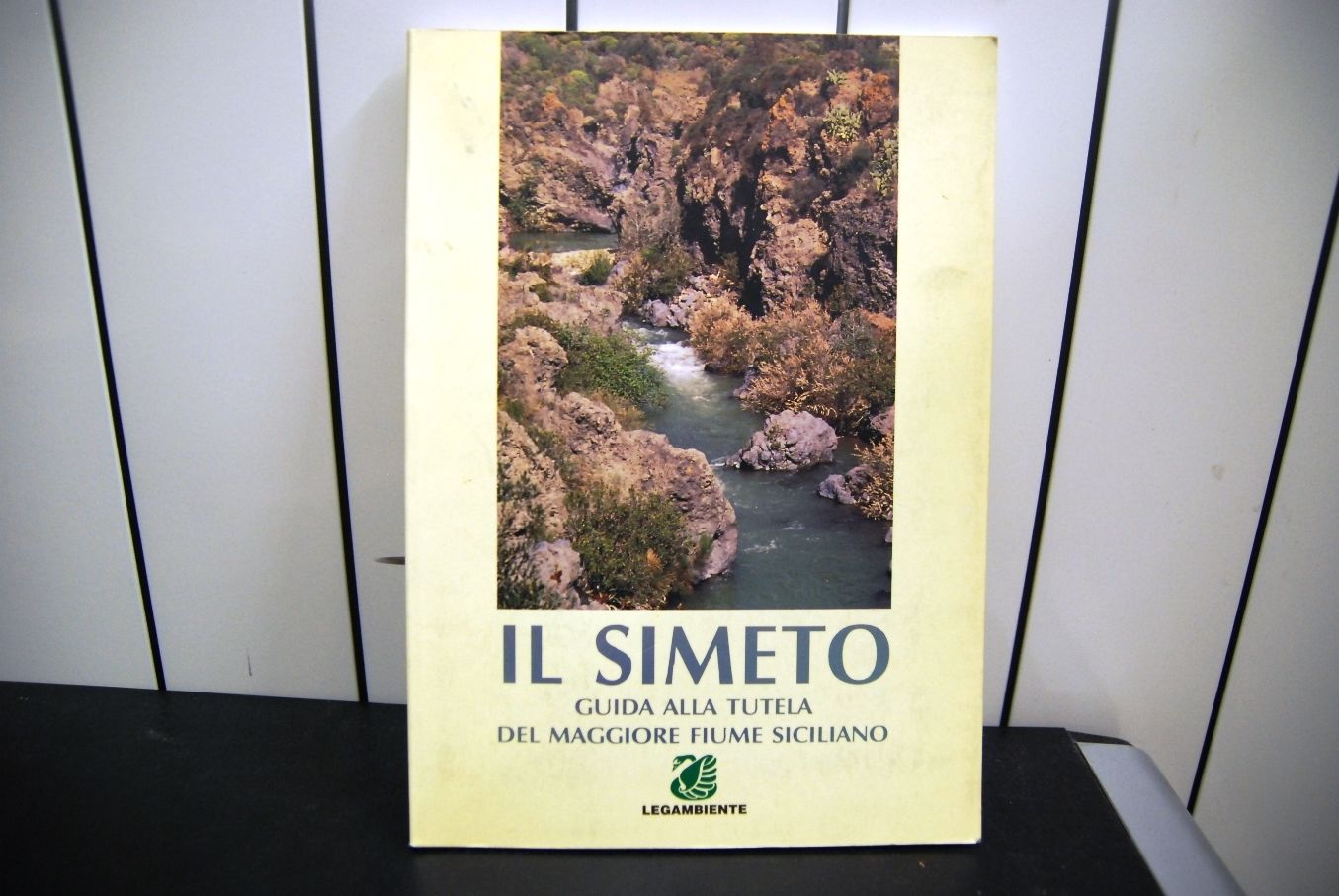 Il Simeto, guida alla tutela del maggiore fiume siciliano
