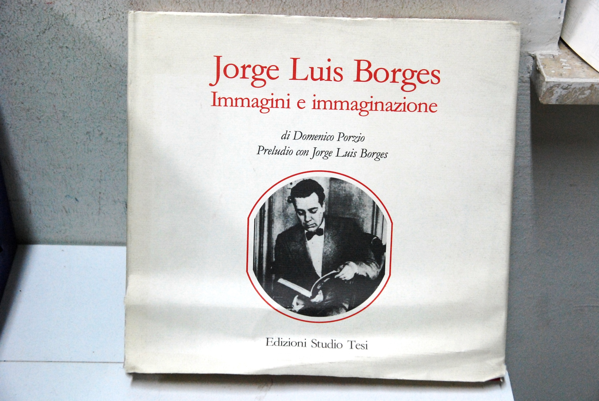 immagini e immaginazione (sovracoprttina piegata come da foto, testo integro)