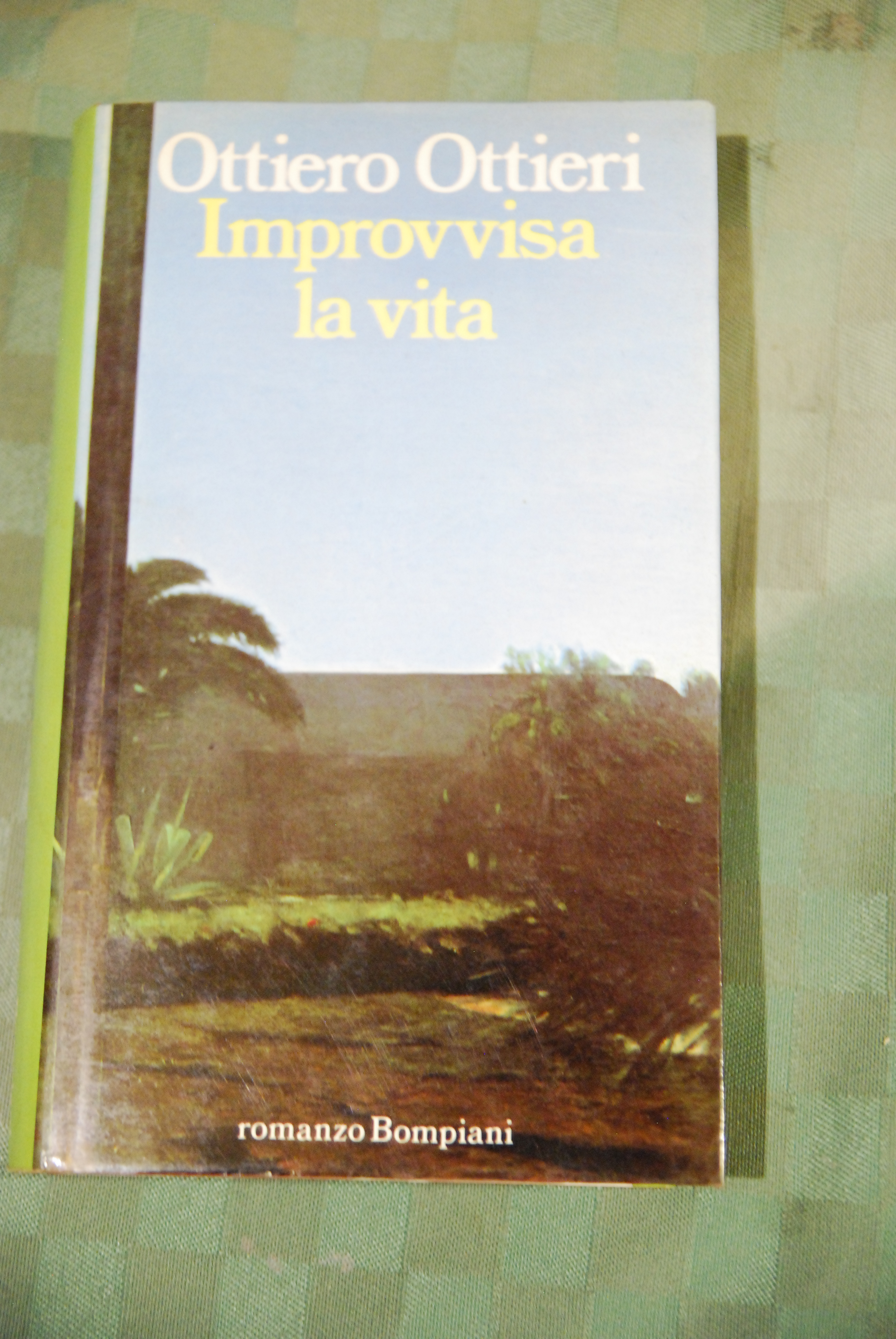 improvvisa la vita NUOVISSIMO