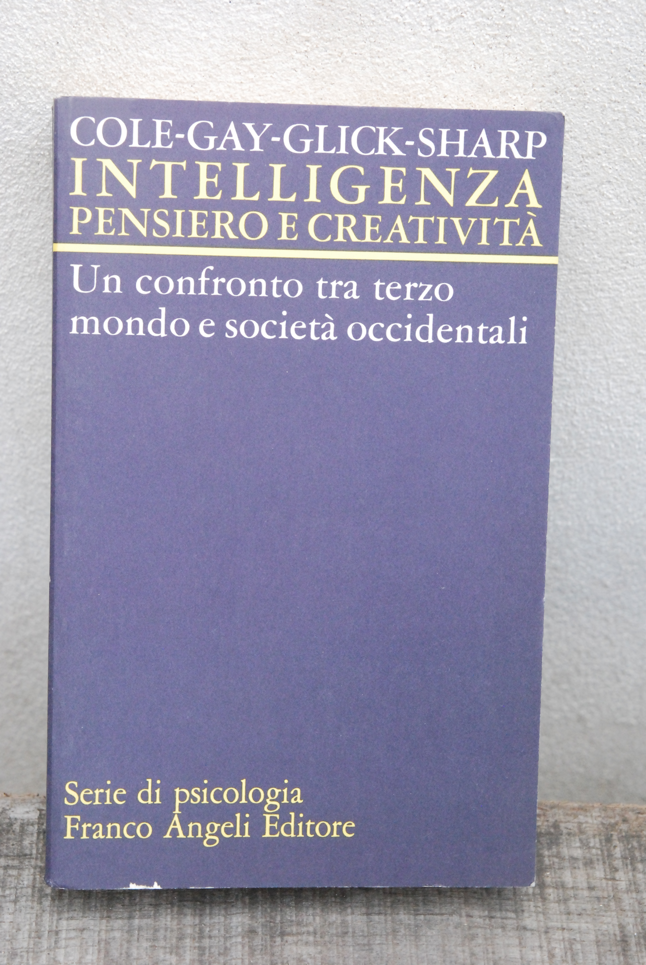 intelligenza pensiero e creatività un confronto tra terzo mondo e …