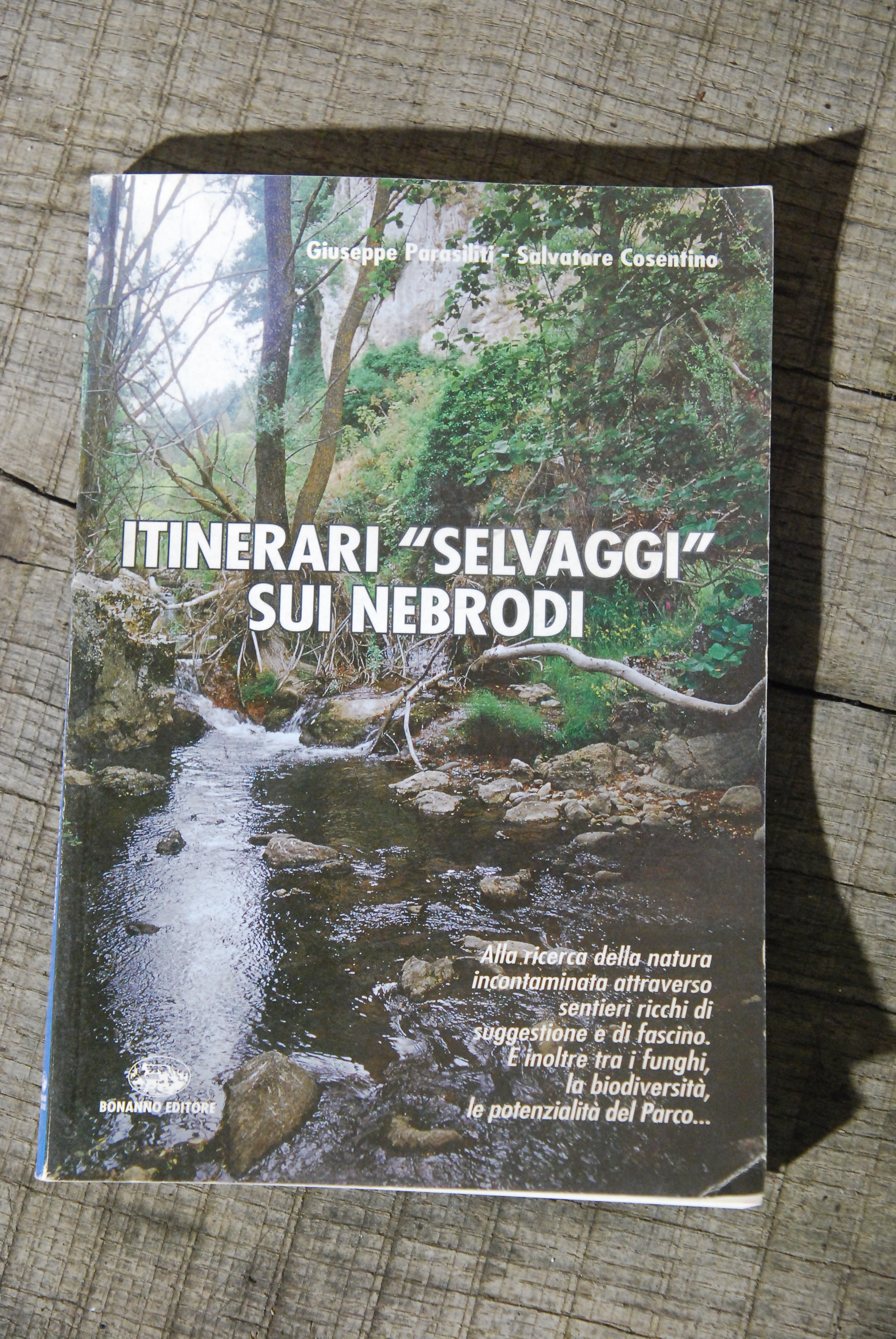 itinerari selvaggi sui nebrodi NUOVO