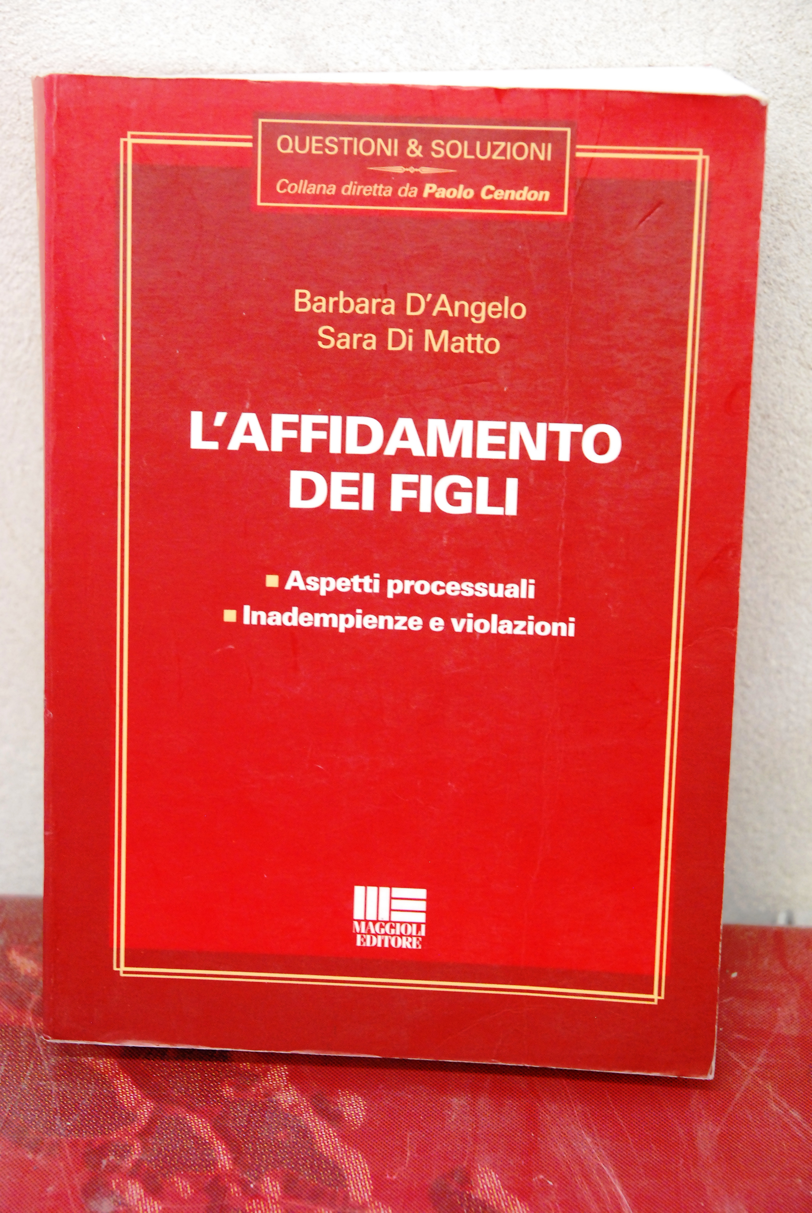 l'affidamento dei figli