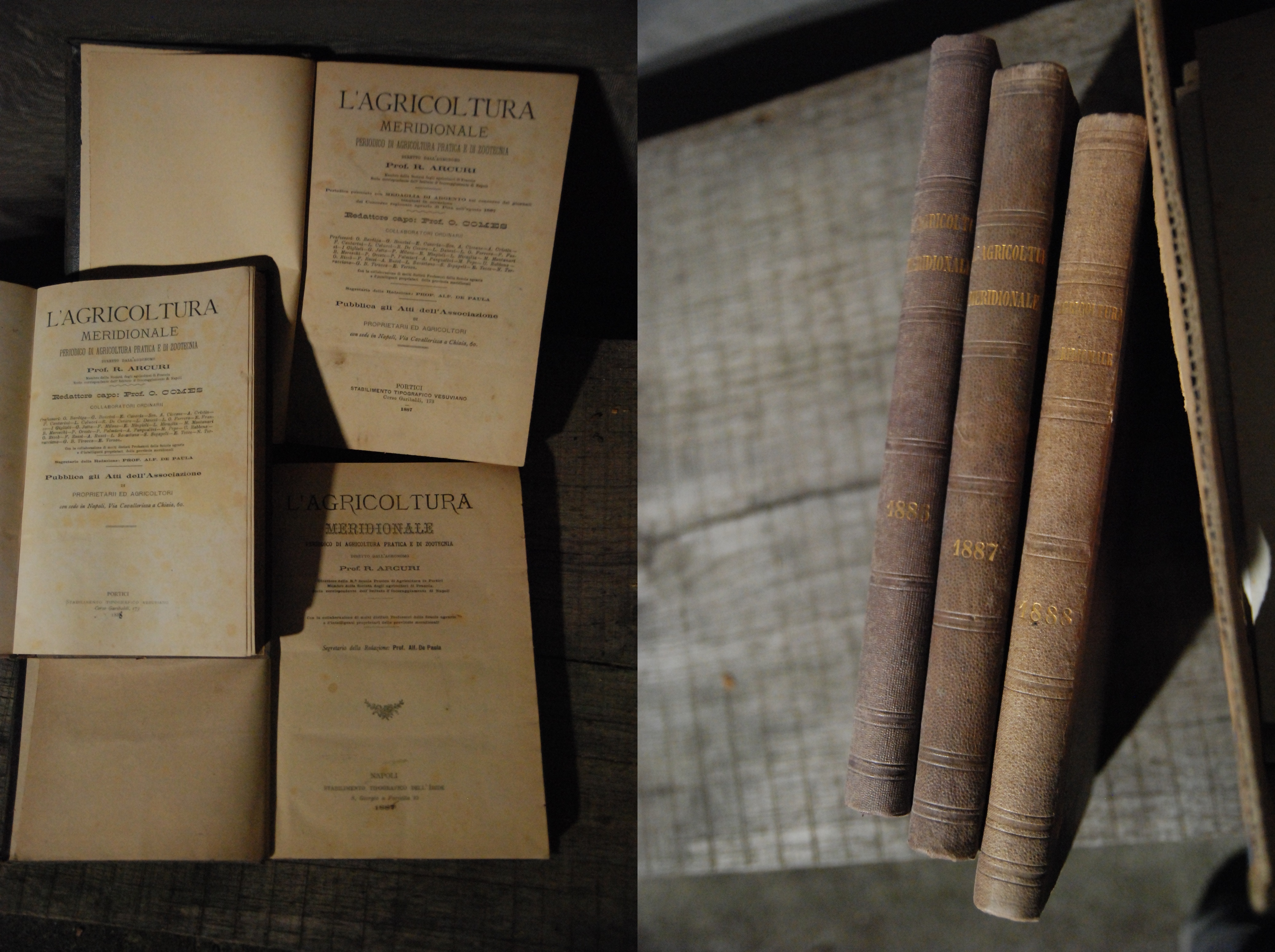 l'agricoltura meridionale 1886 1887 1888