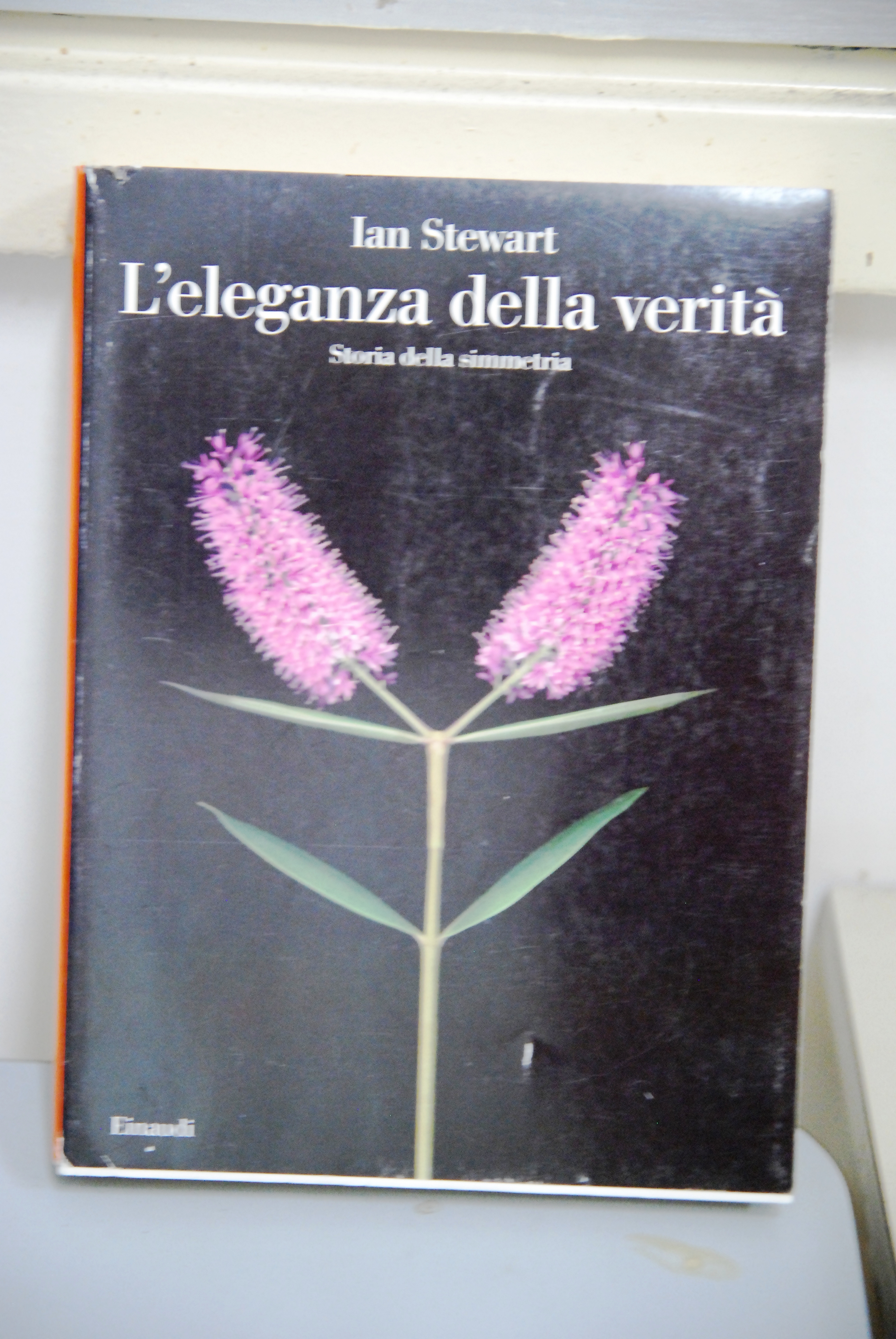 l'eleganza della verità NUOVO