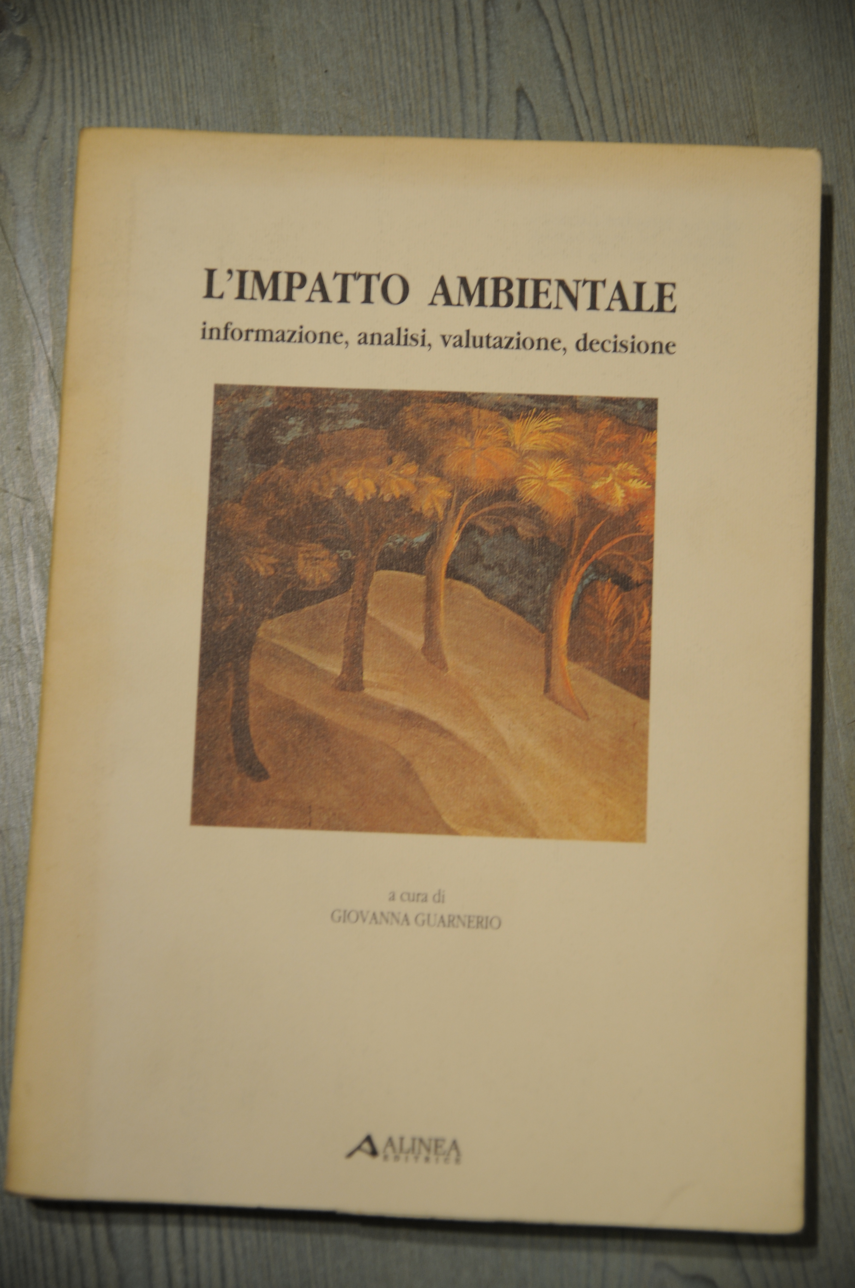 l'impatto ambientale NUOVO