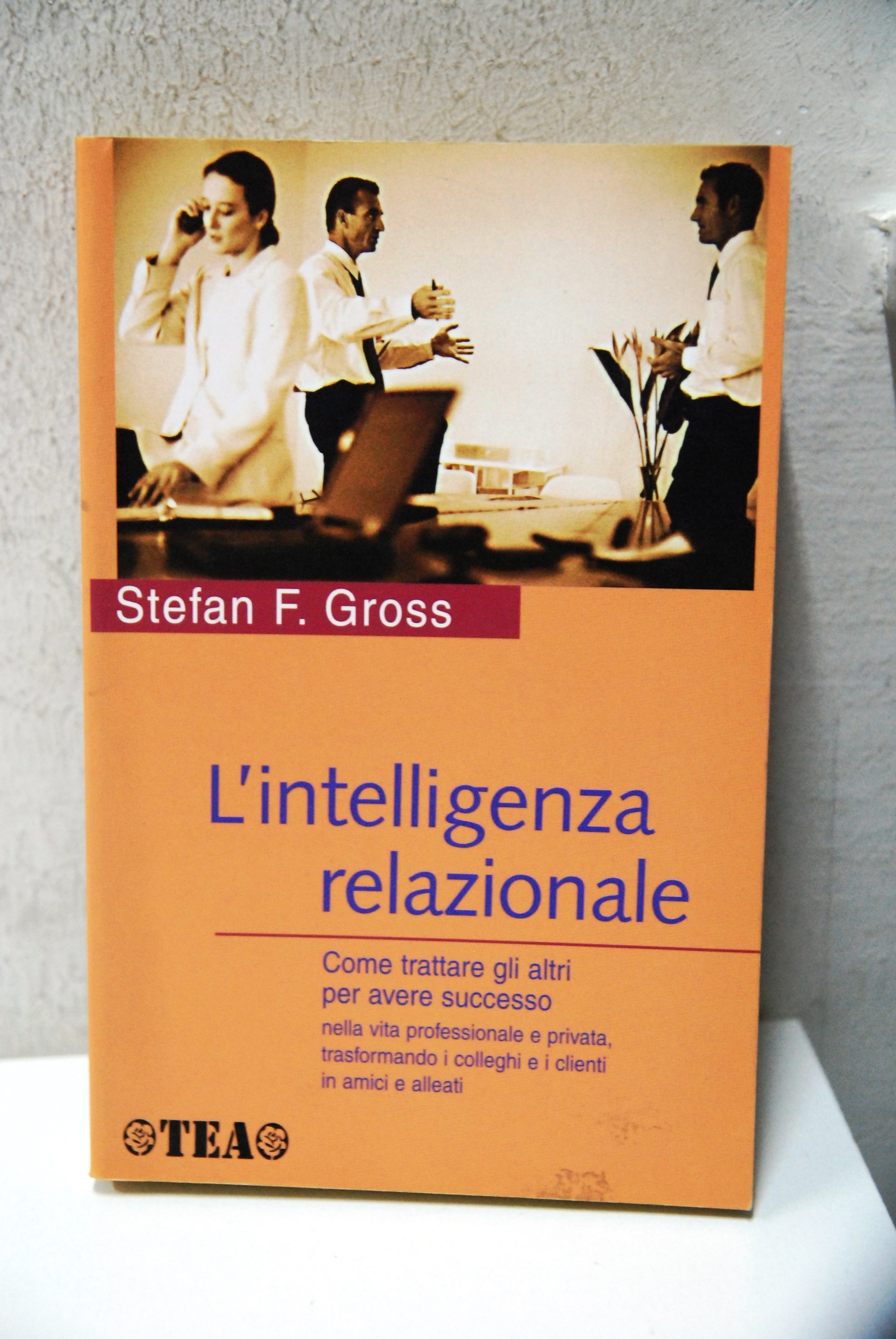 l'intelligenza razionale (nuovo)
