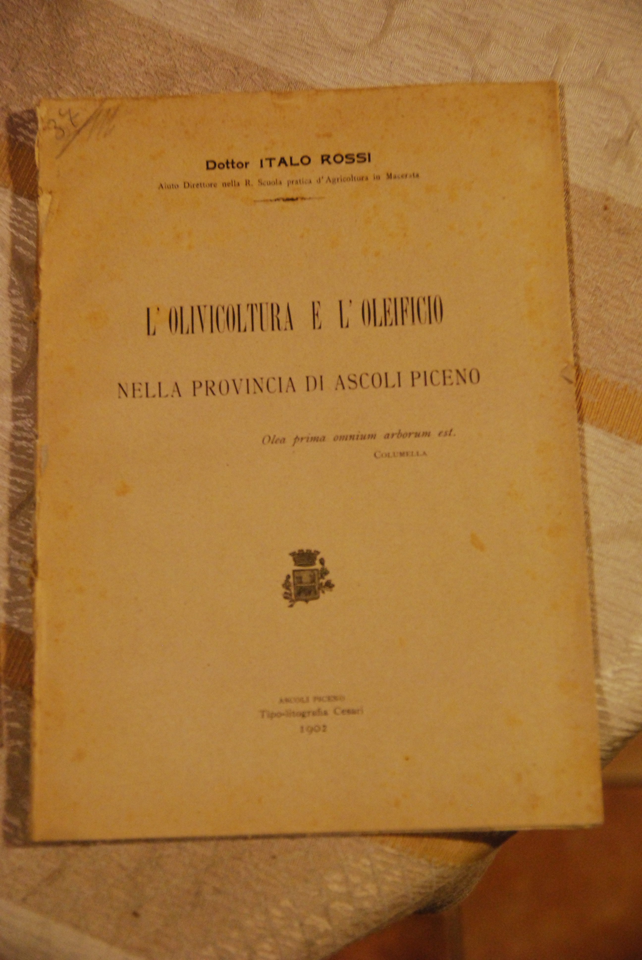l'olivicoltura e l'oleificio nella provincia di ascoli piceno 1902