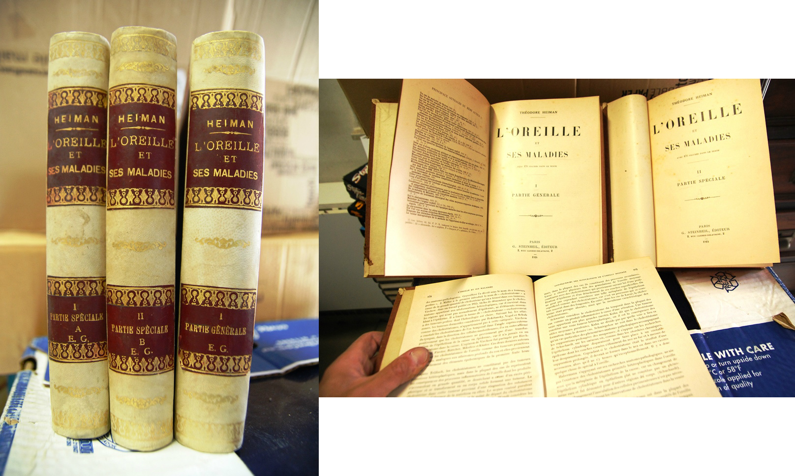 L'oreille et ses maladies, tre volumi