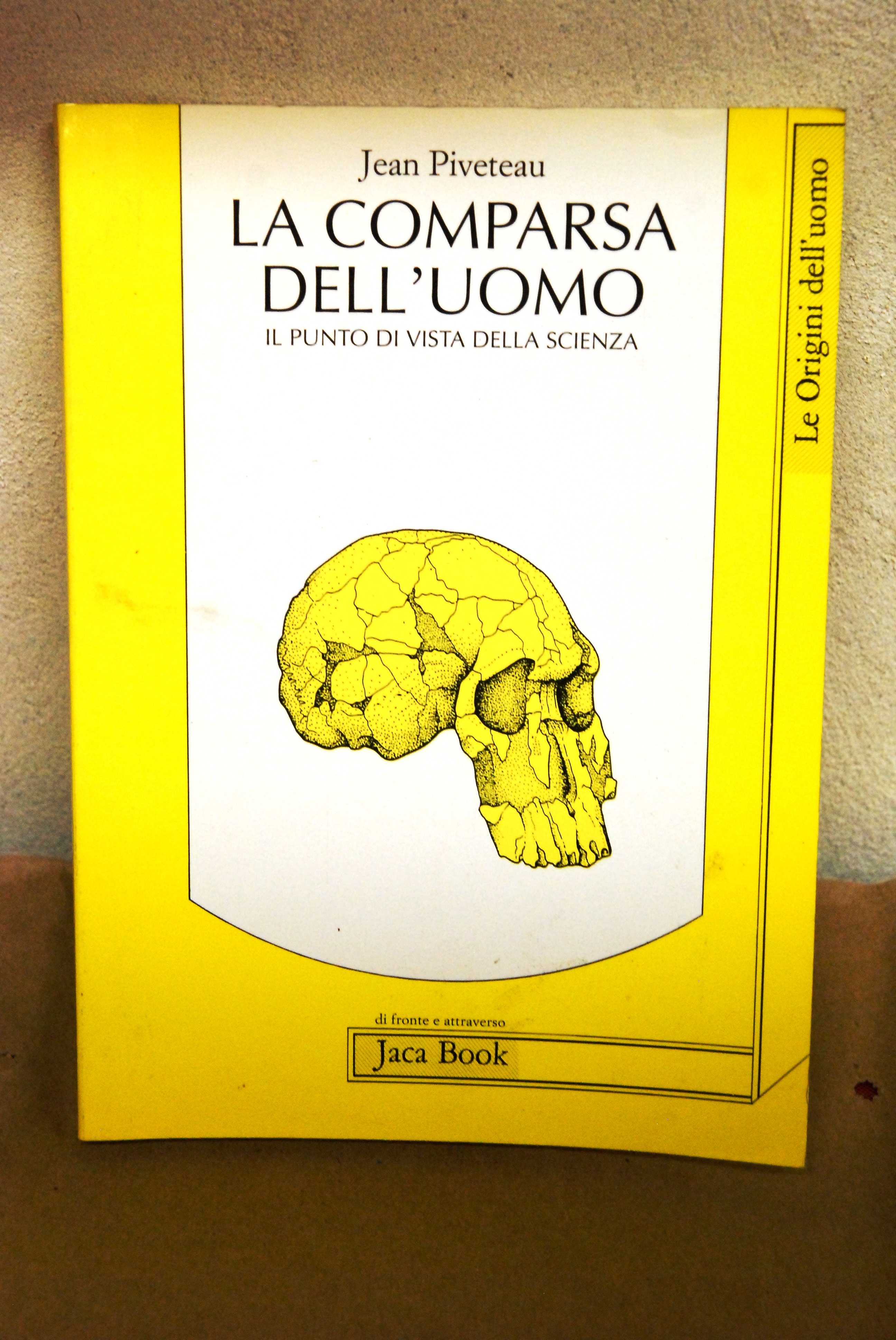 la comparsa dell'uomo NUOVO