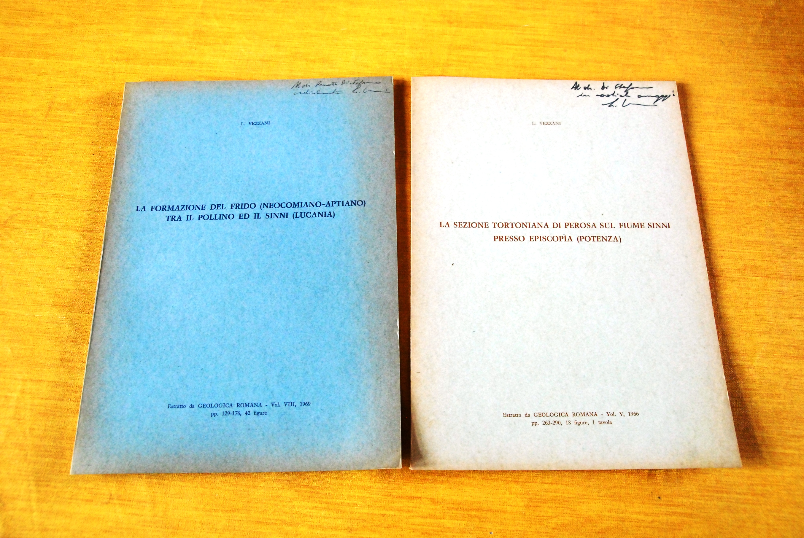 la formazione del frido neocomiano aptiano tra il pollino ed …