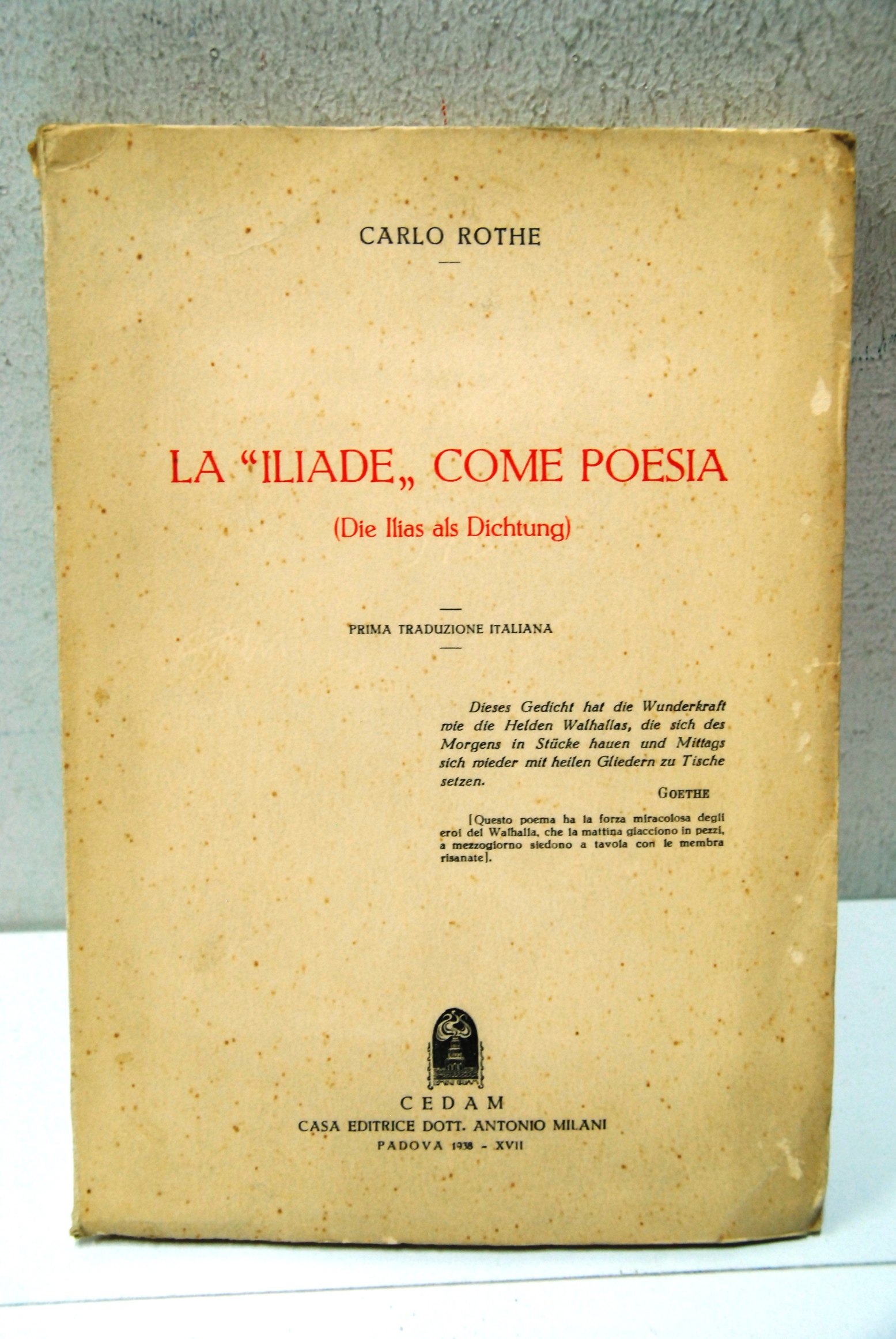 La Iliade come poesia