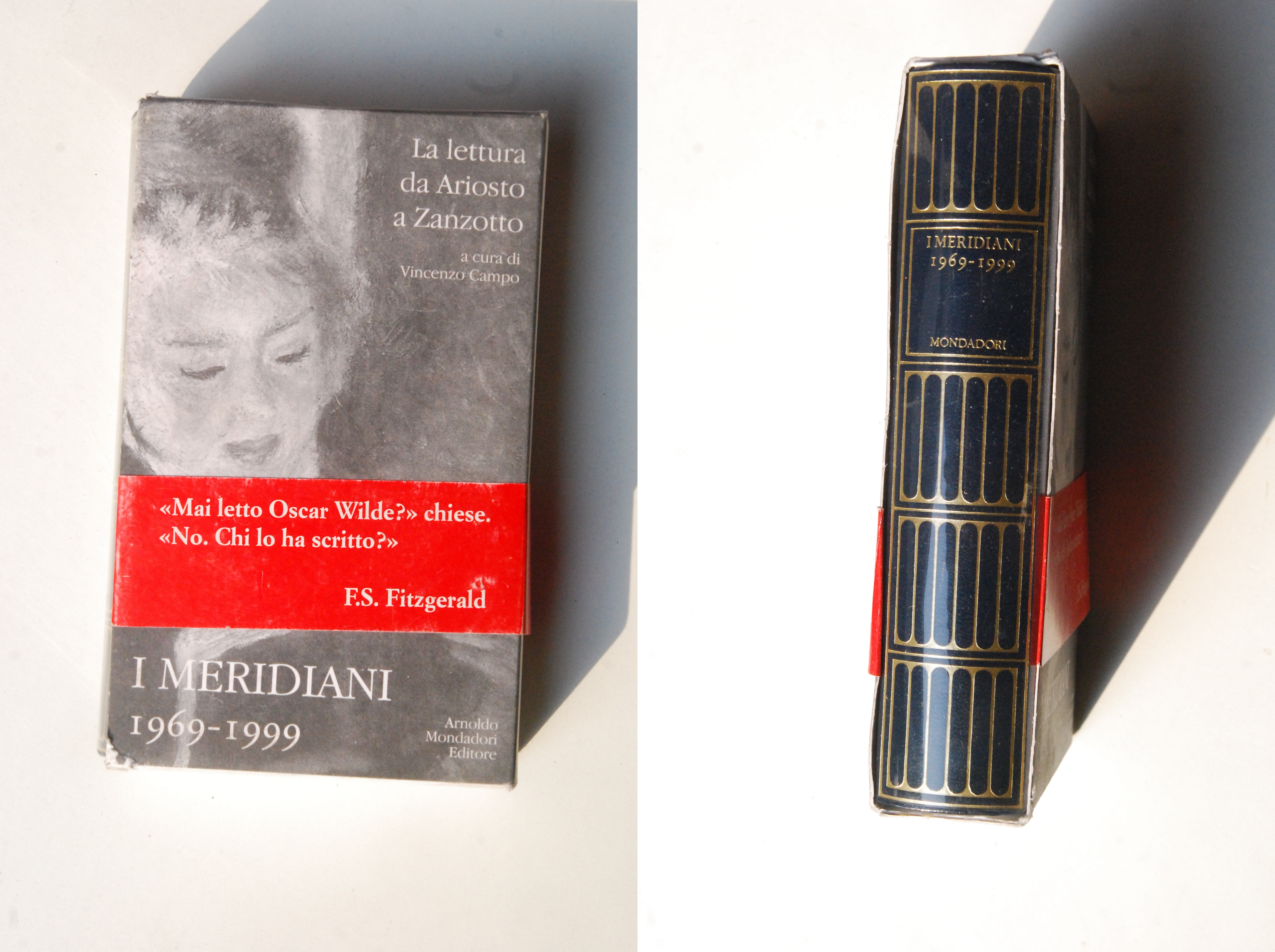la lettura da a riosto a zanzotto 1969-1999 NUOVISSIMO