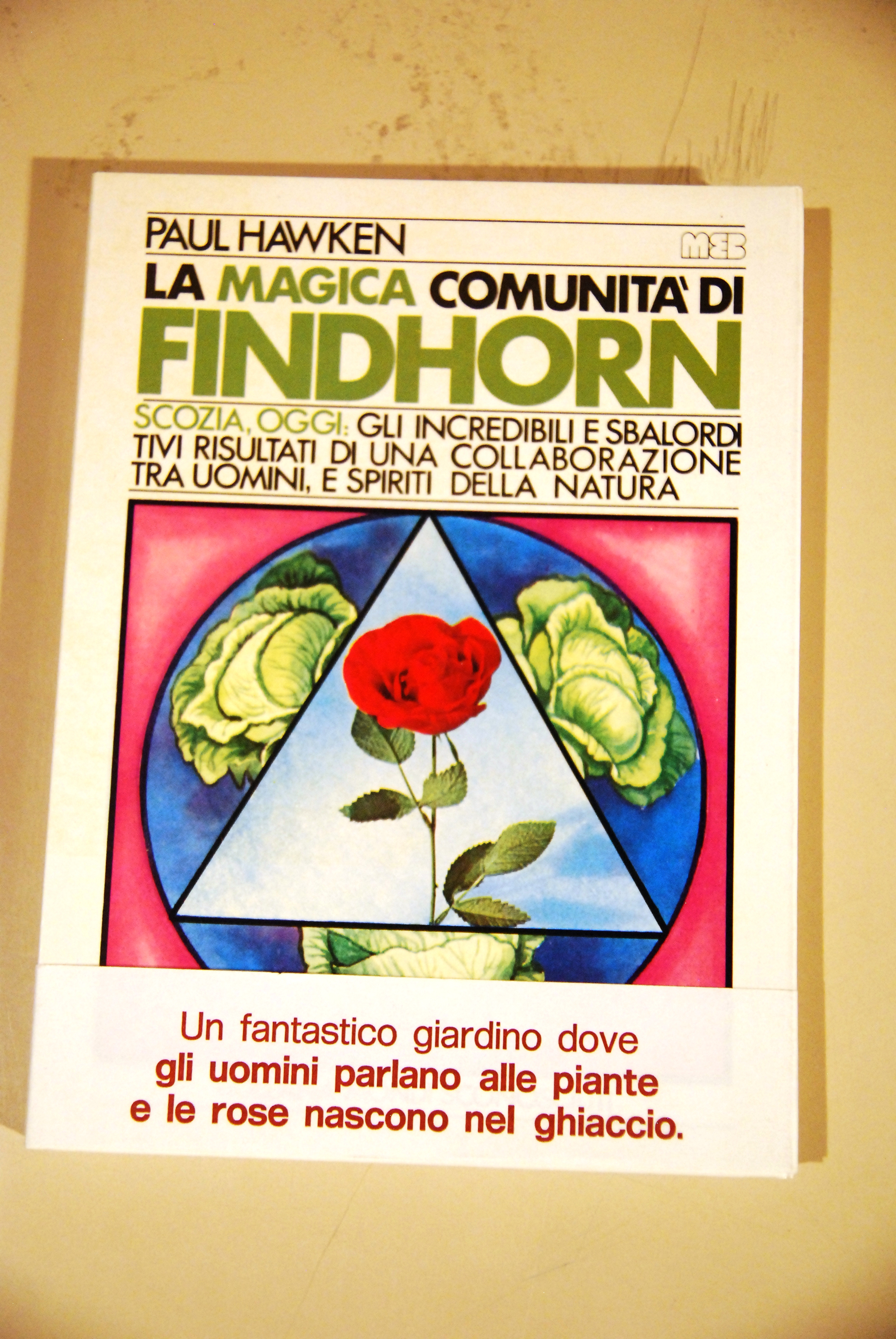 la magica comunità di findhorn 1 ed. NUOVISSIMO
