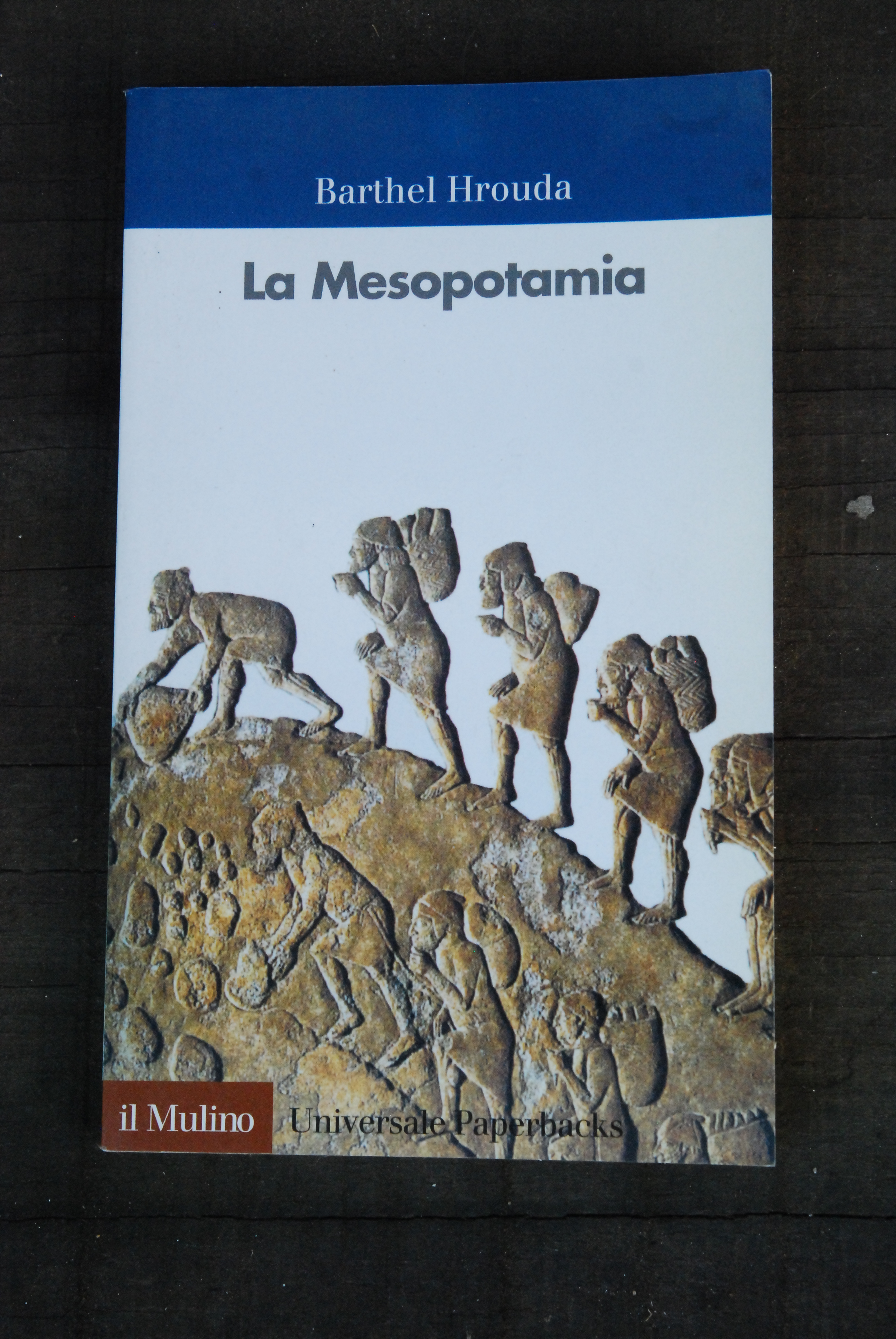 la mesopotamia NUOVO