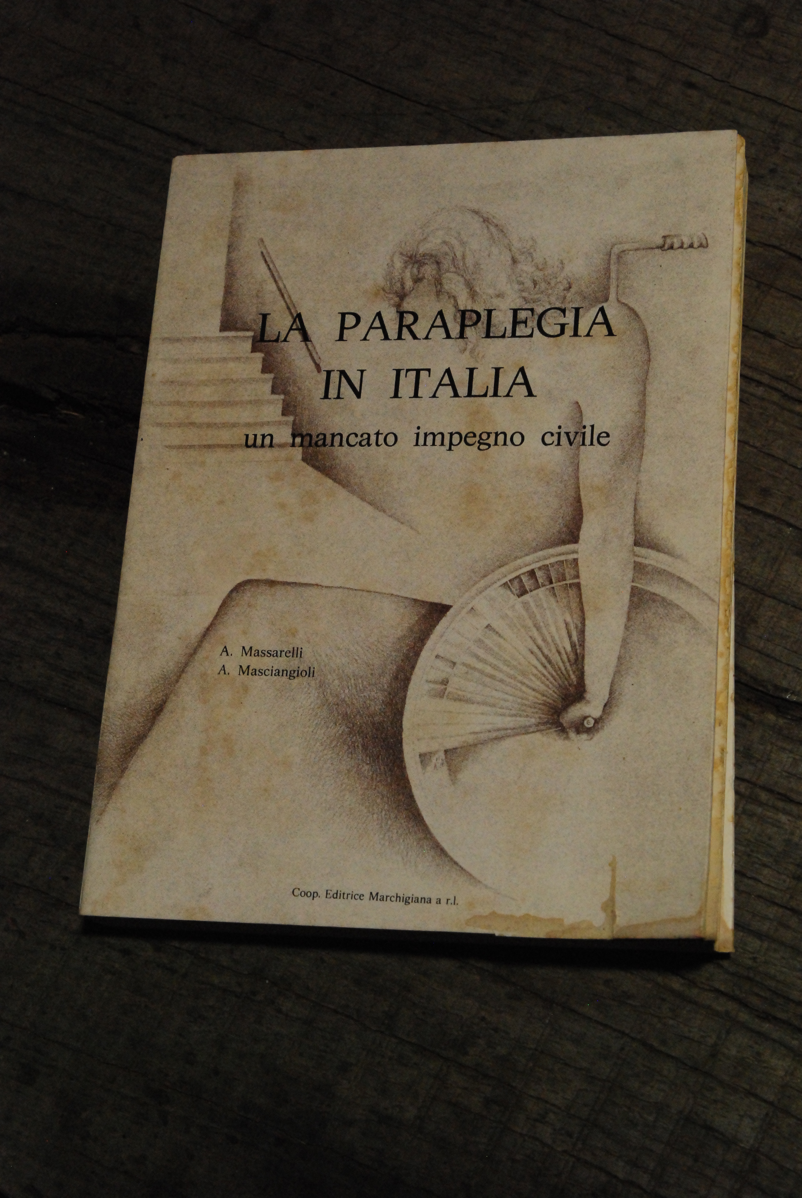 la paraplegia in italia un mancato impegno civile (discrete condizioni …