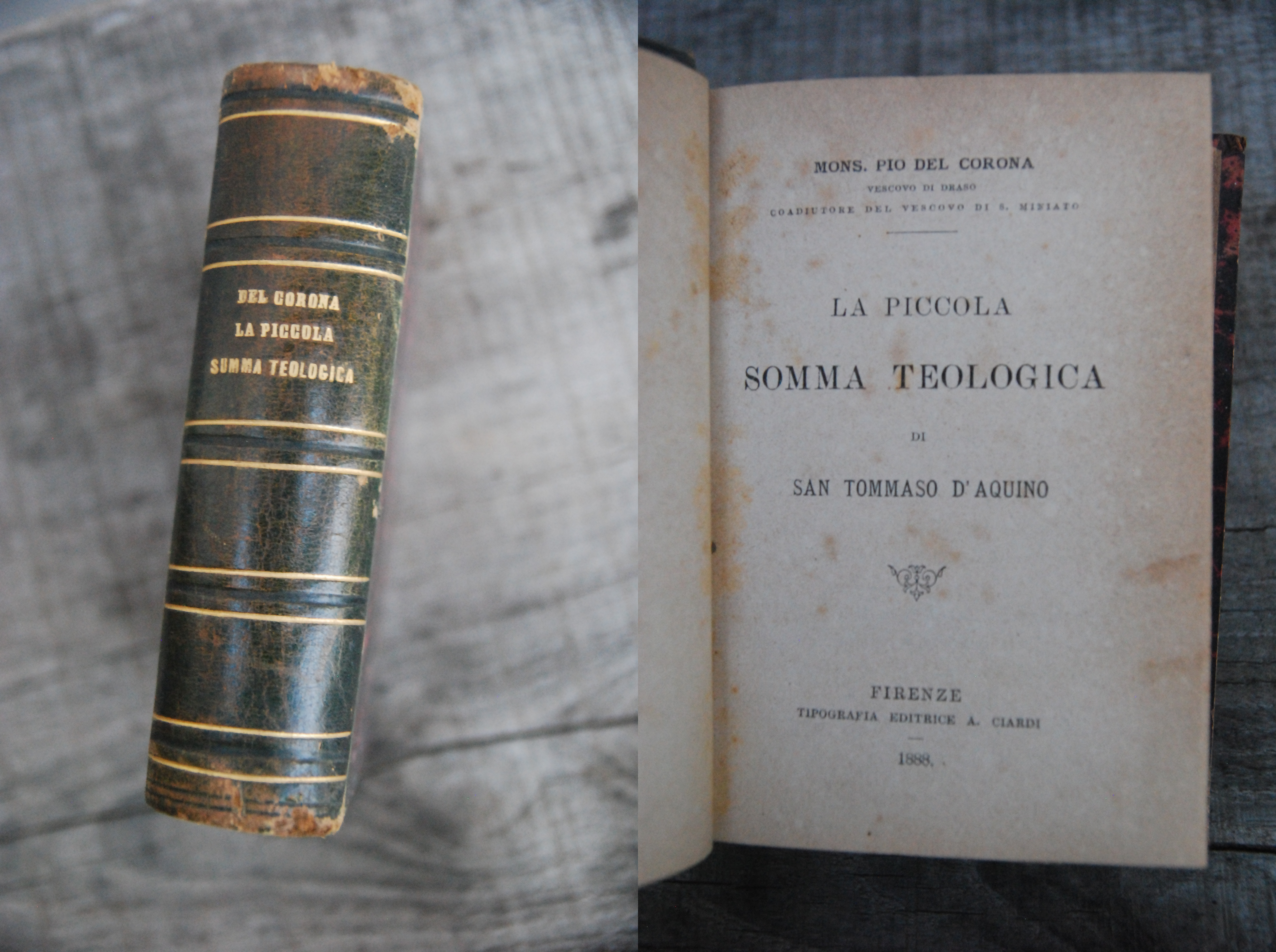 la piccola somma teologica di san tommaso d'aquino 1888