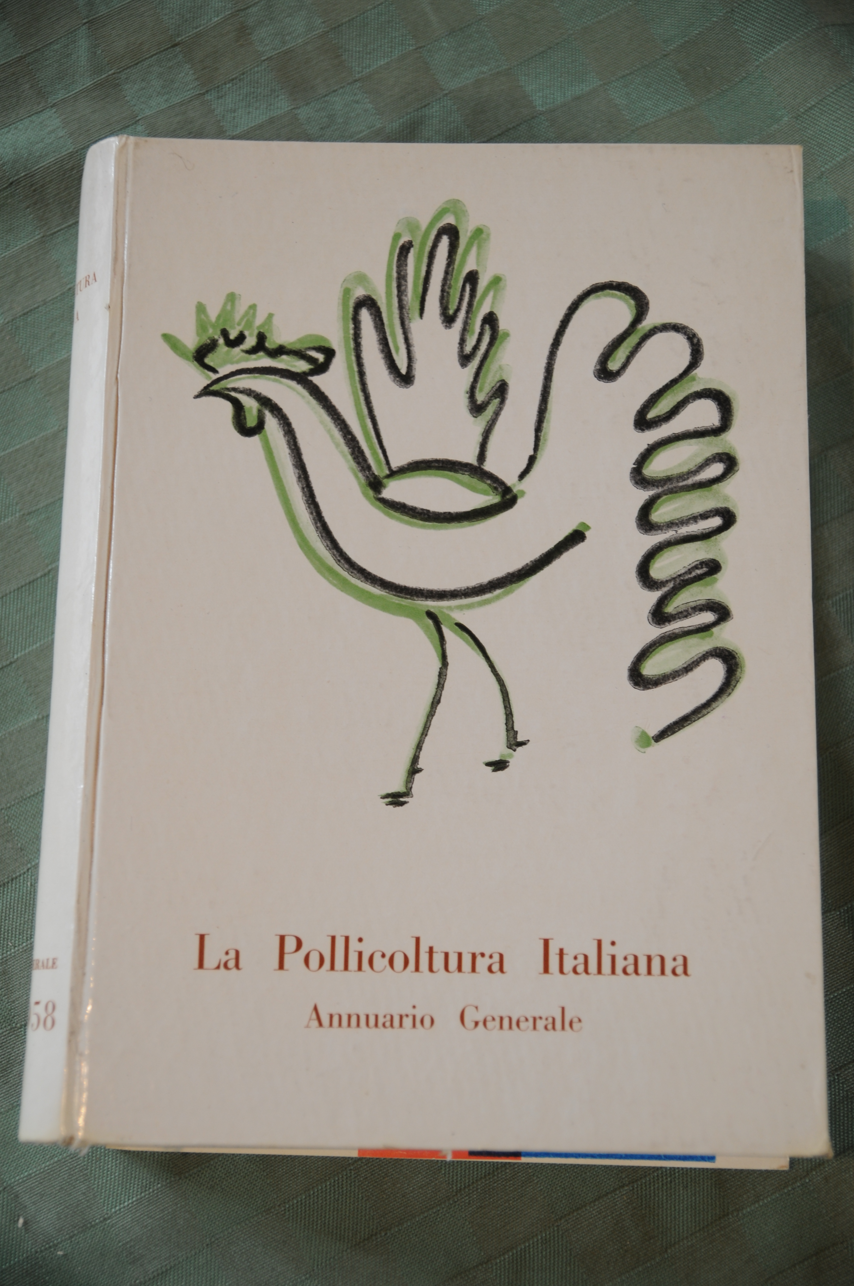 LA POLLICOLTURA italiana NUOVISSIMO
