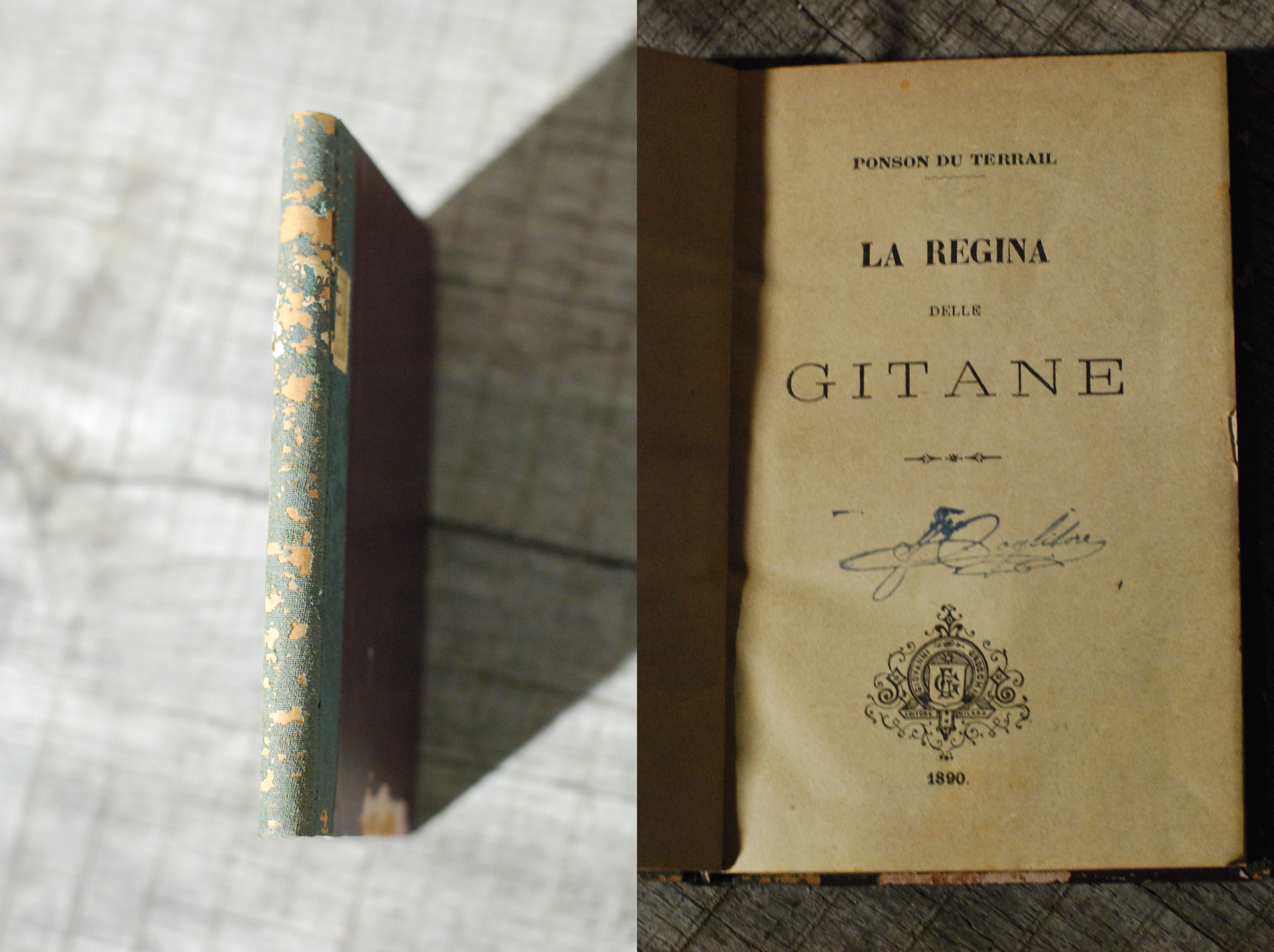 la regina delle gitane 1890