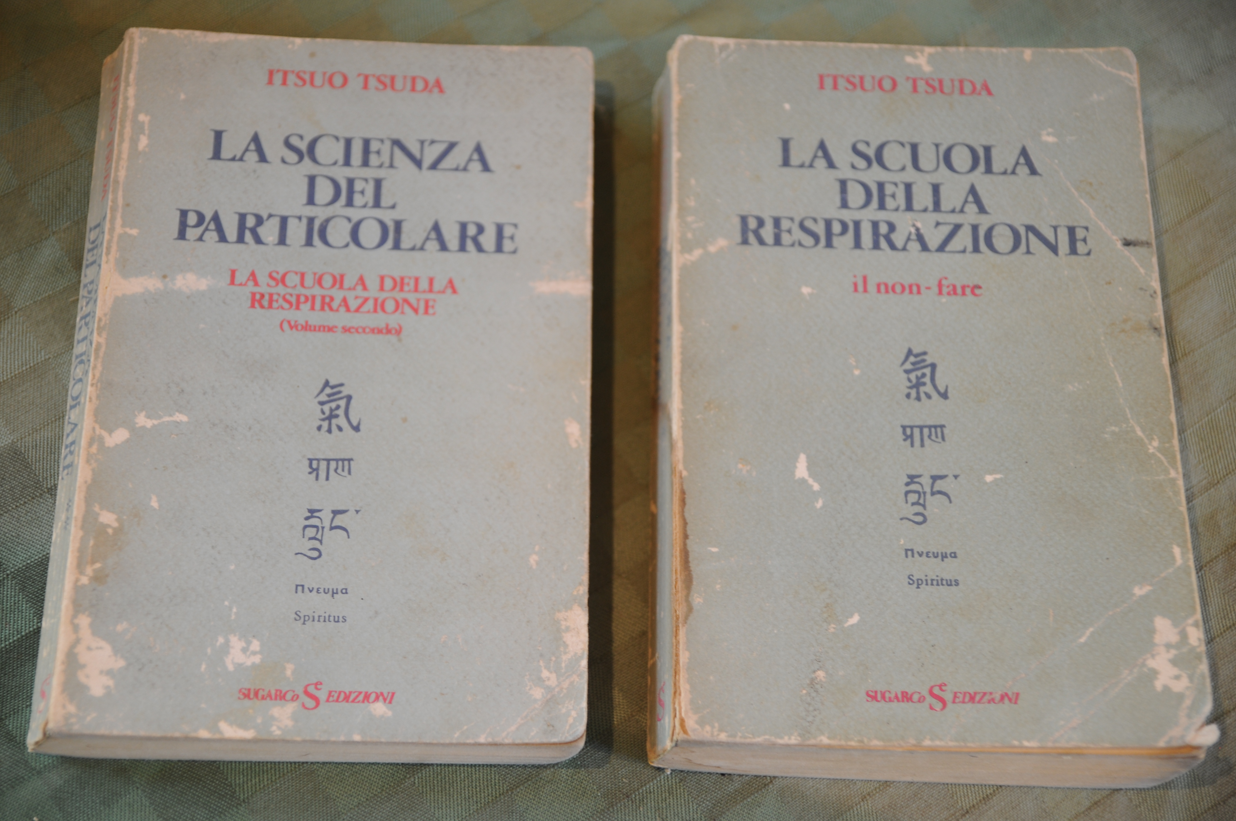 la scienza del particolare vol. secondo e la scuola della …