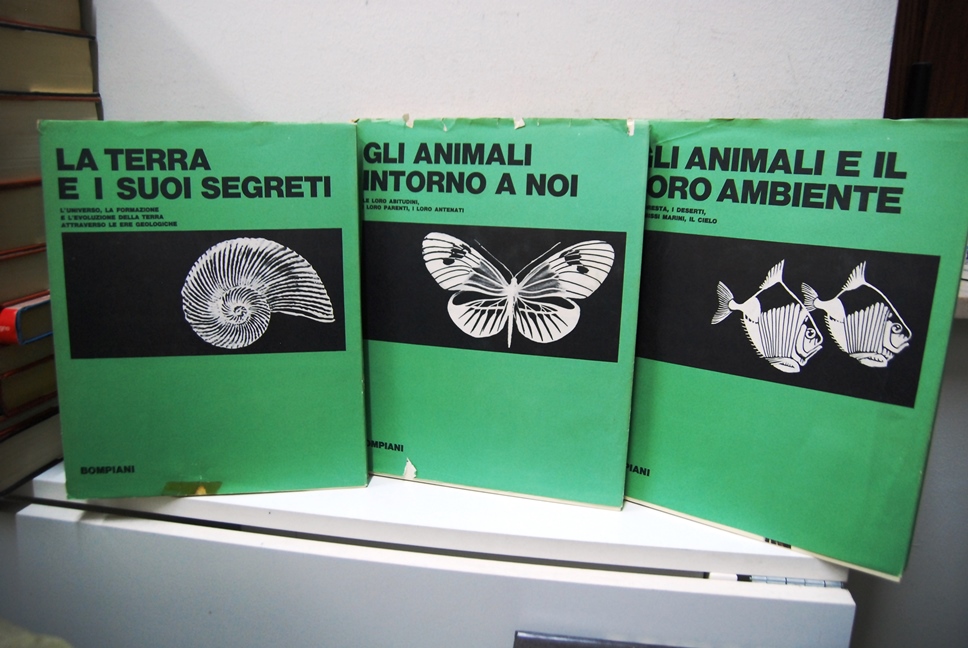 La terra e i suoi segreti, gli animali intorno a …