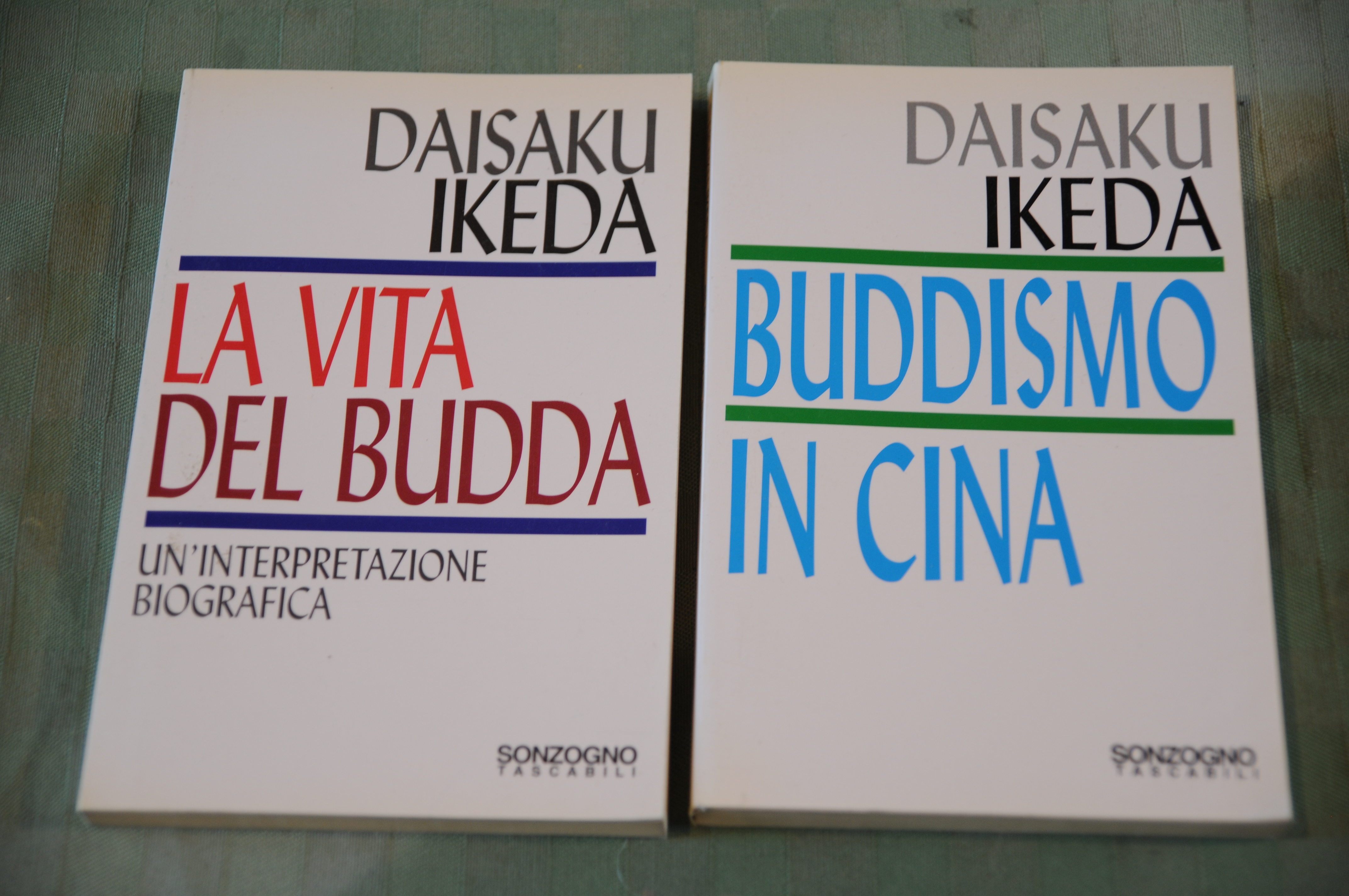 la vita del budda e buddismo in cina NUOVI