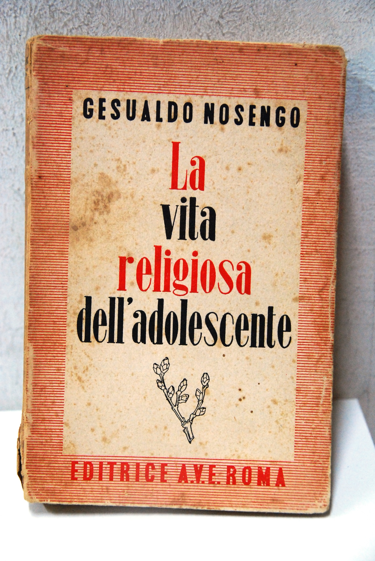 la vita religiosa dell'adolescente