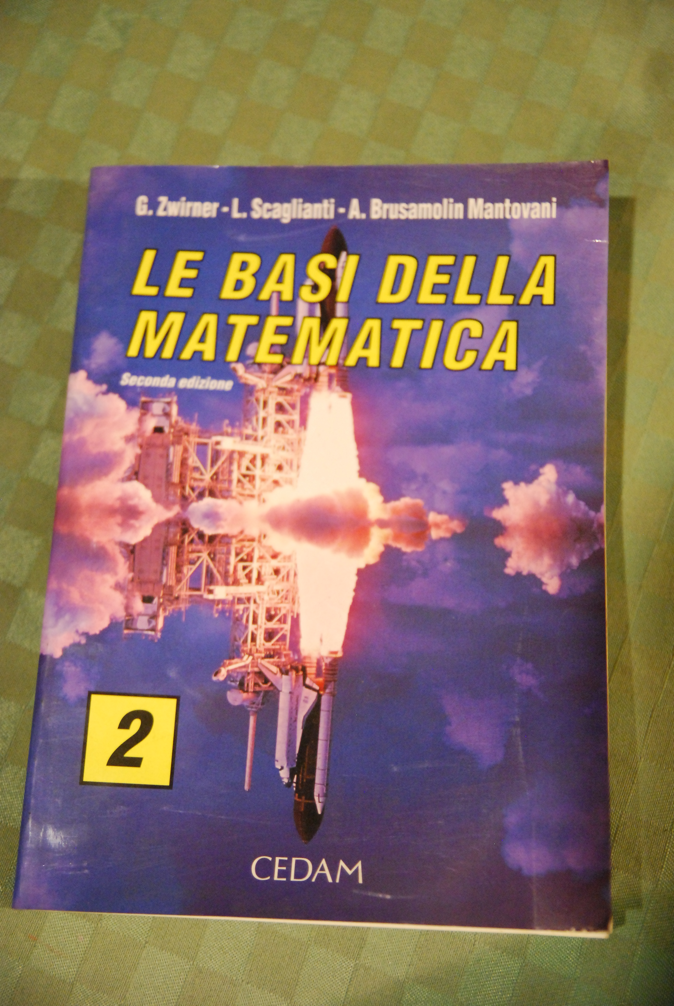 le basi della matematica vol. 2 cedam