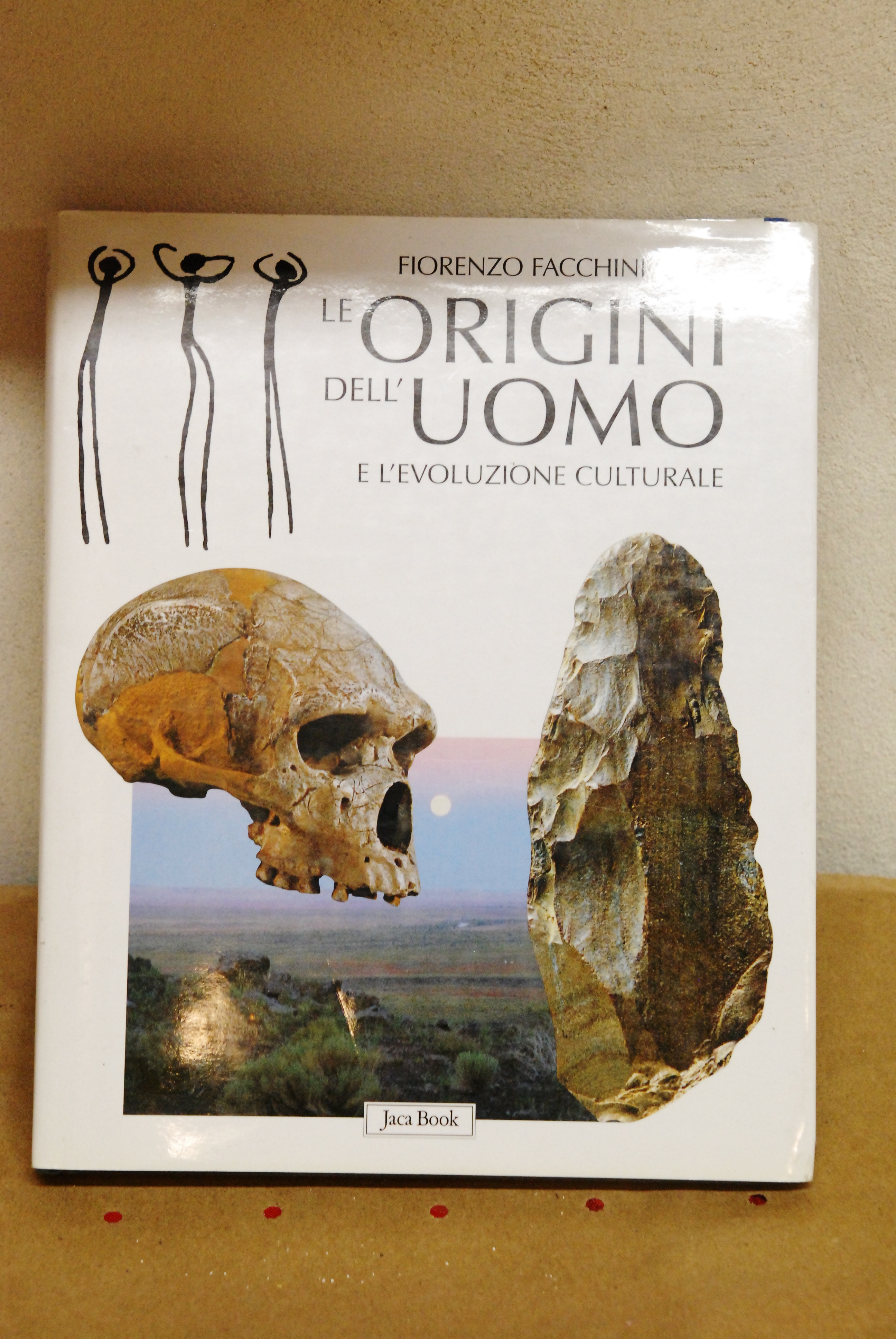 le origini dell'uomo e l'evoluzione culturale NUOVISSIMO