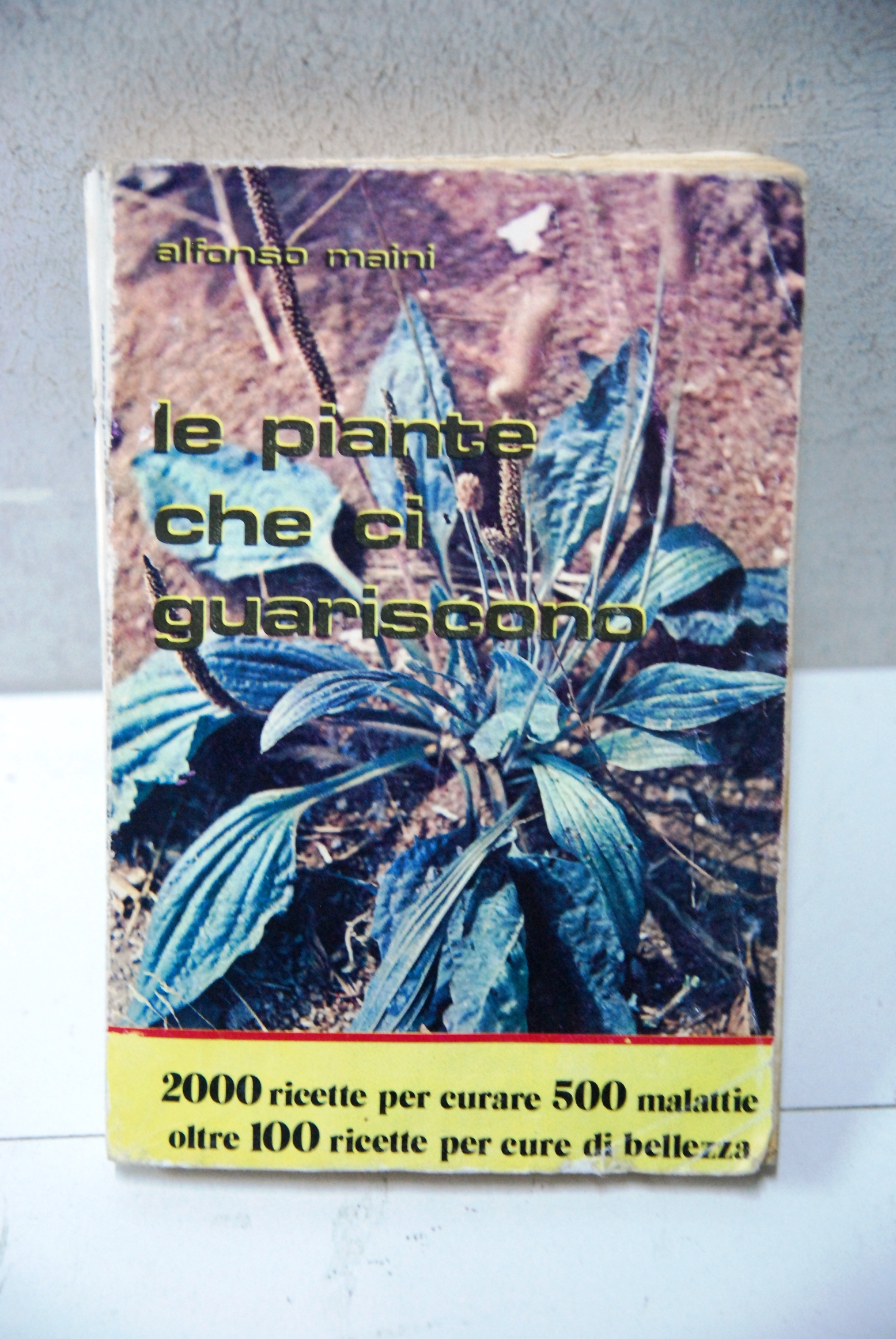 le piante che ci guariscono