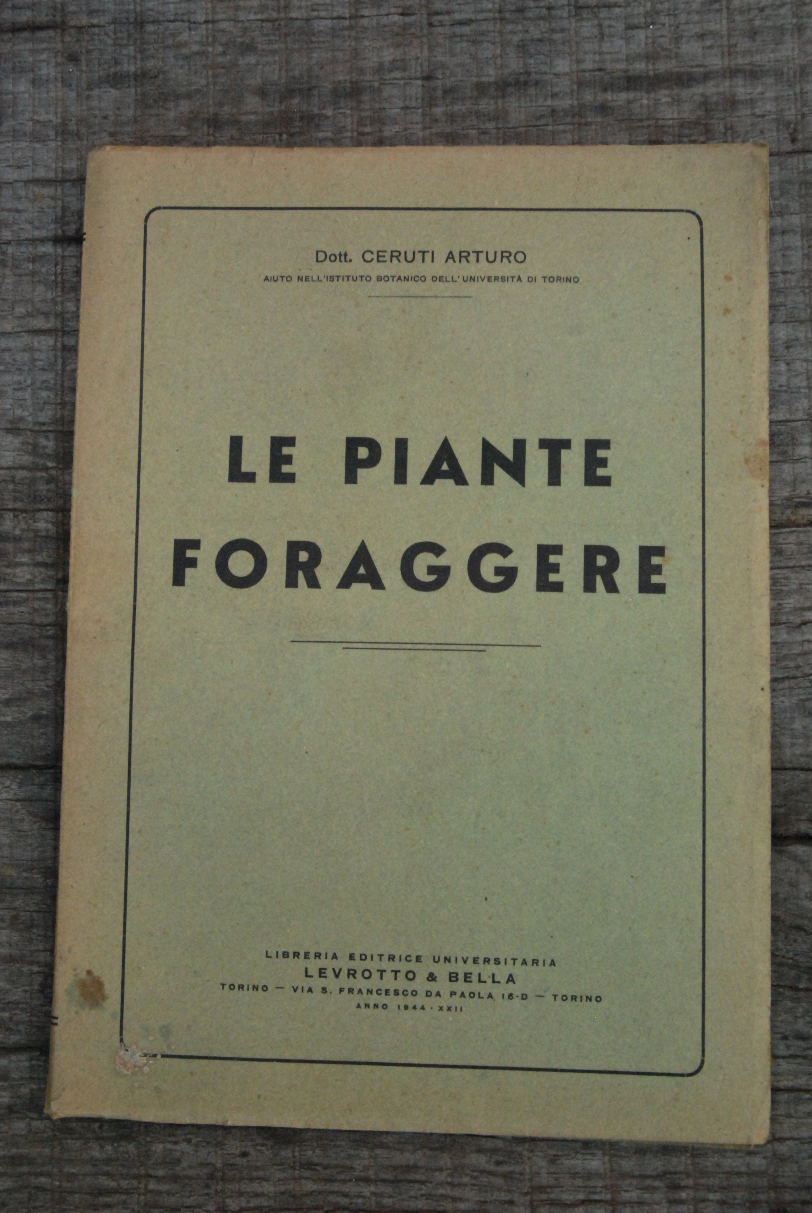 le piante foraggere foraggiere