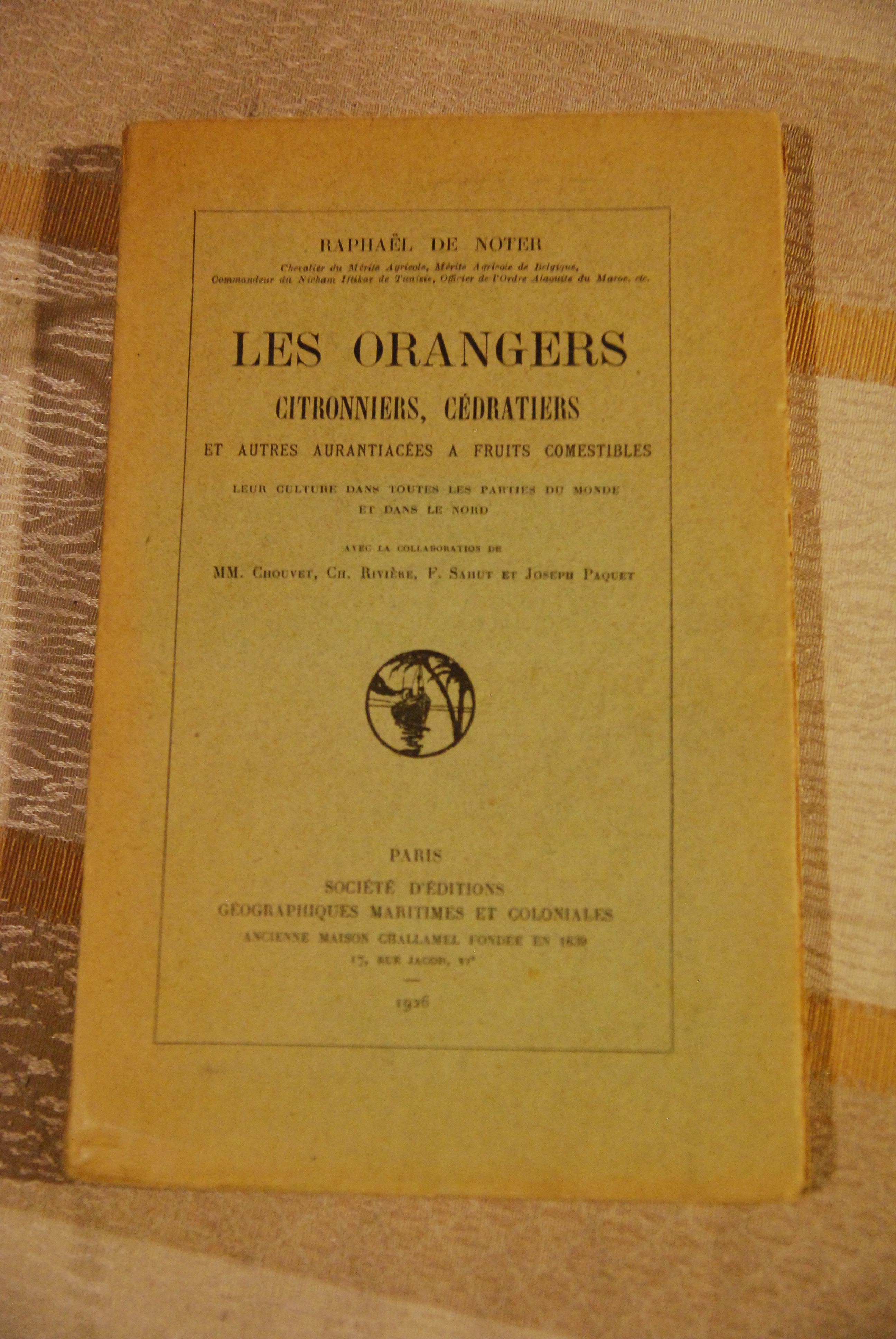 les orangers citronniers cedratiers NUOVISSIMO