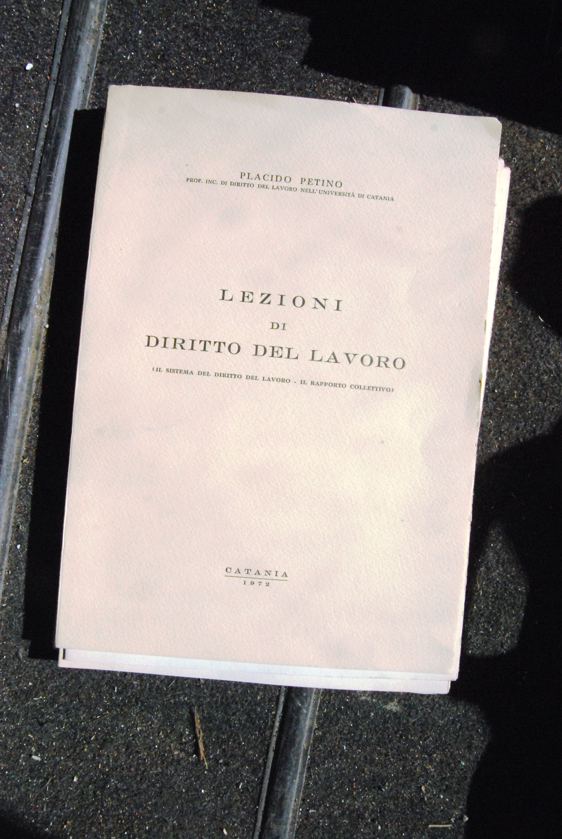 lezioni di diritto del lavoro