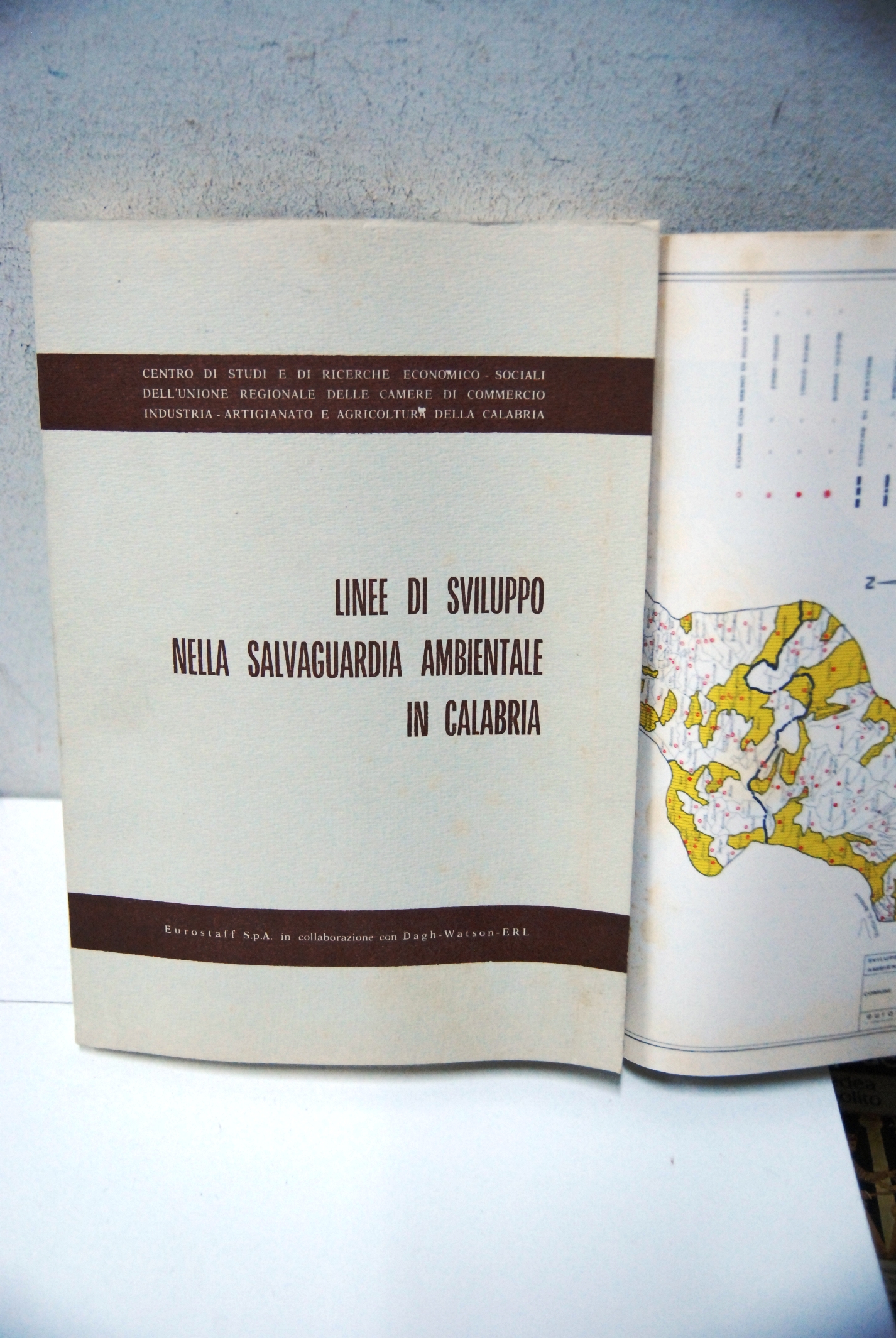 linee di sviluppo nella salvaguardia ambientale in calabria cosenza vivo …