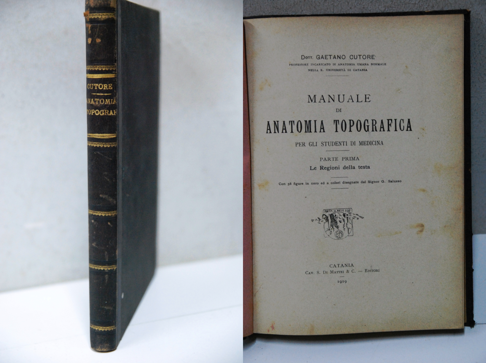 MANUALE DI ANATOMIA TOPOGRAFICA per gli studenti in medicina le …