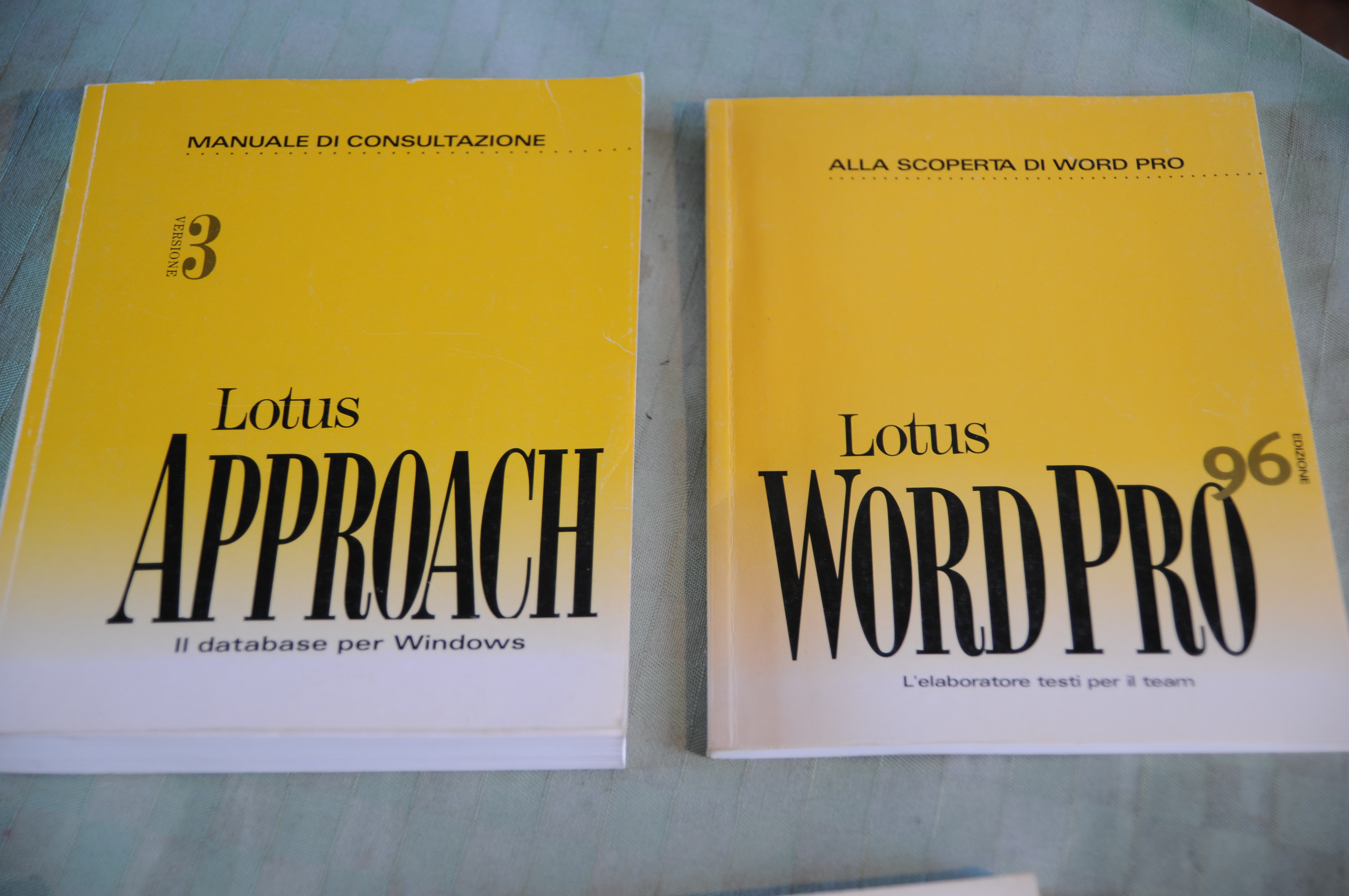 MANUALE DI CONSULTAZIONE lotus approach e wordpro 96 windows