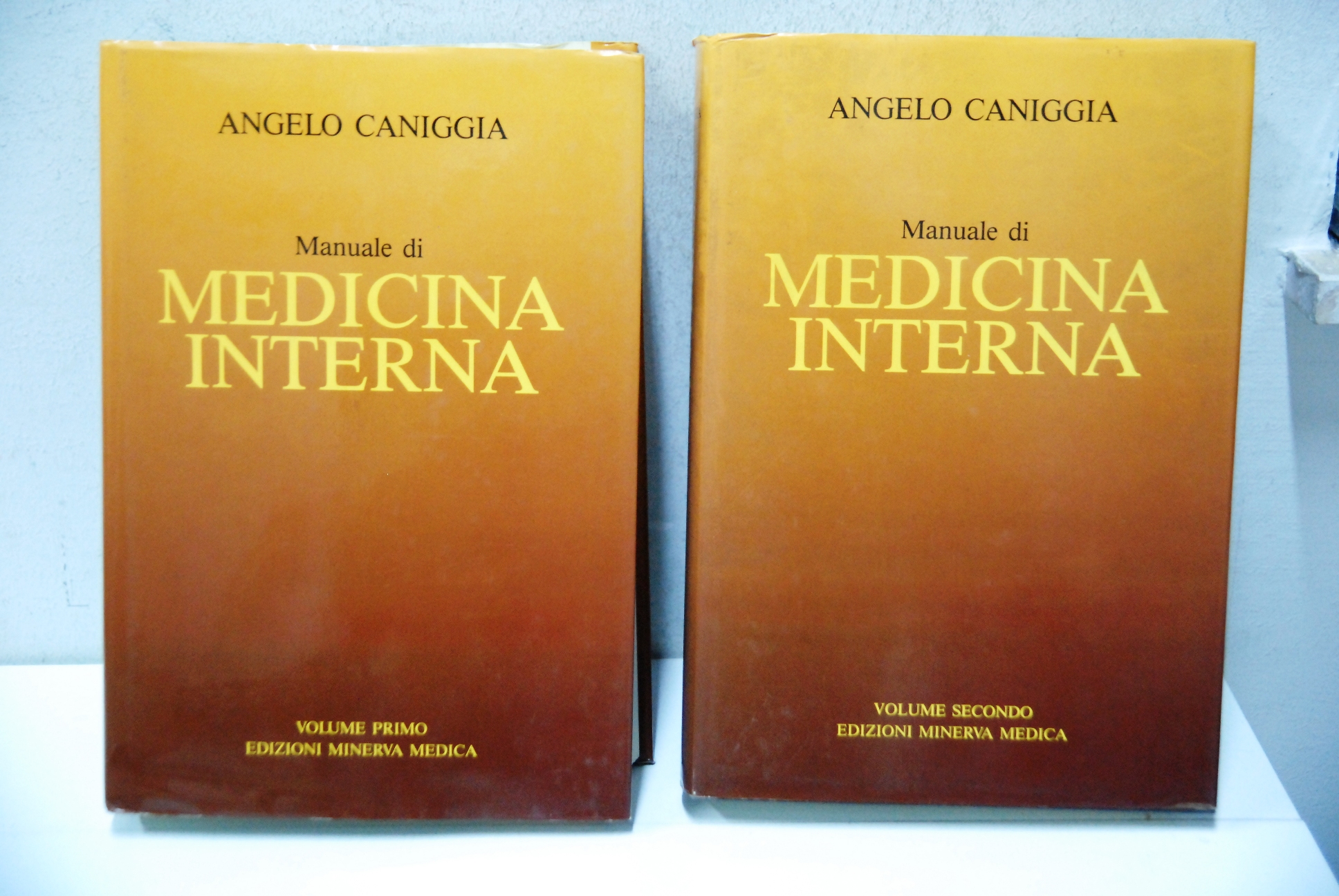 manuale di medicina interna 2 voll. cpl.