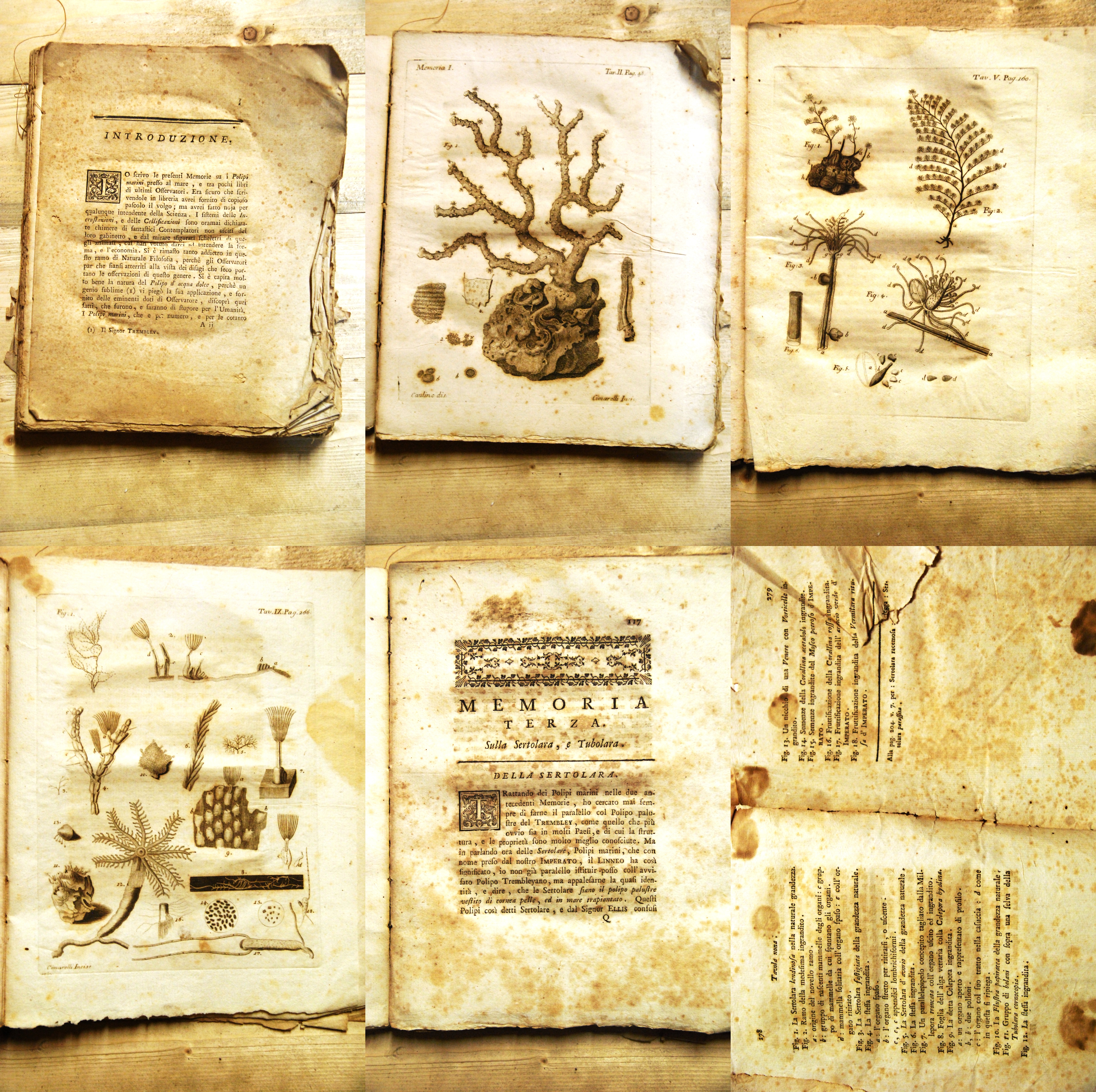 memorie per servire alla storia dei polipi marini (opera cpl. …