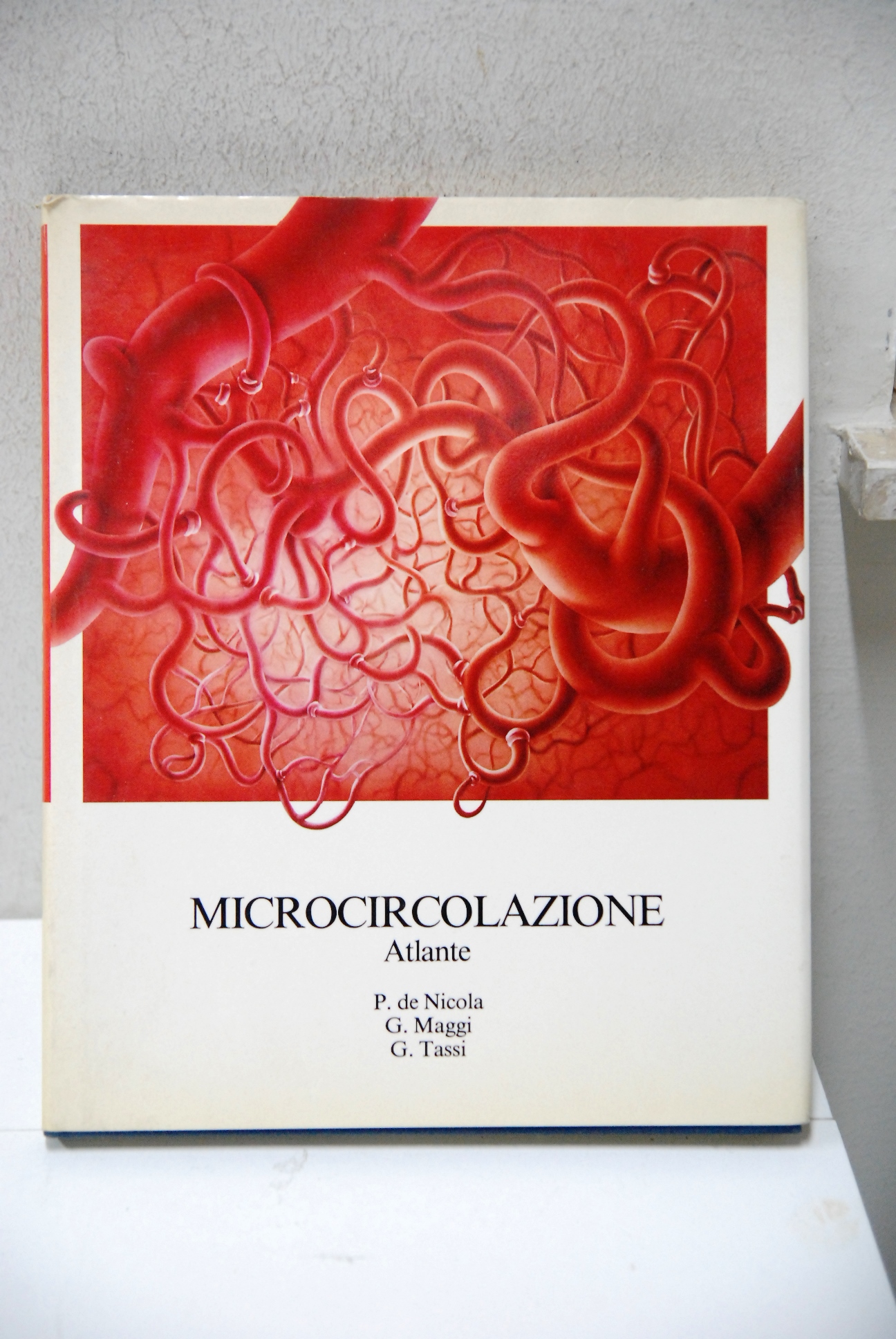 microcircolazione atlante NUOVO