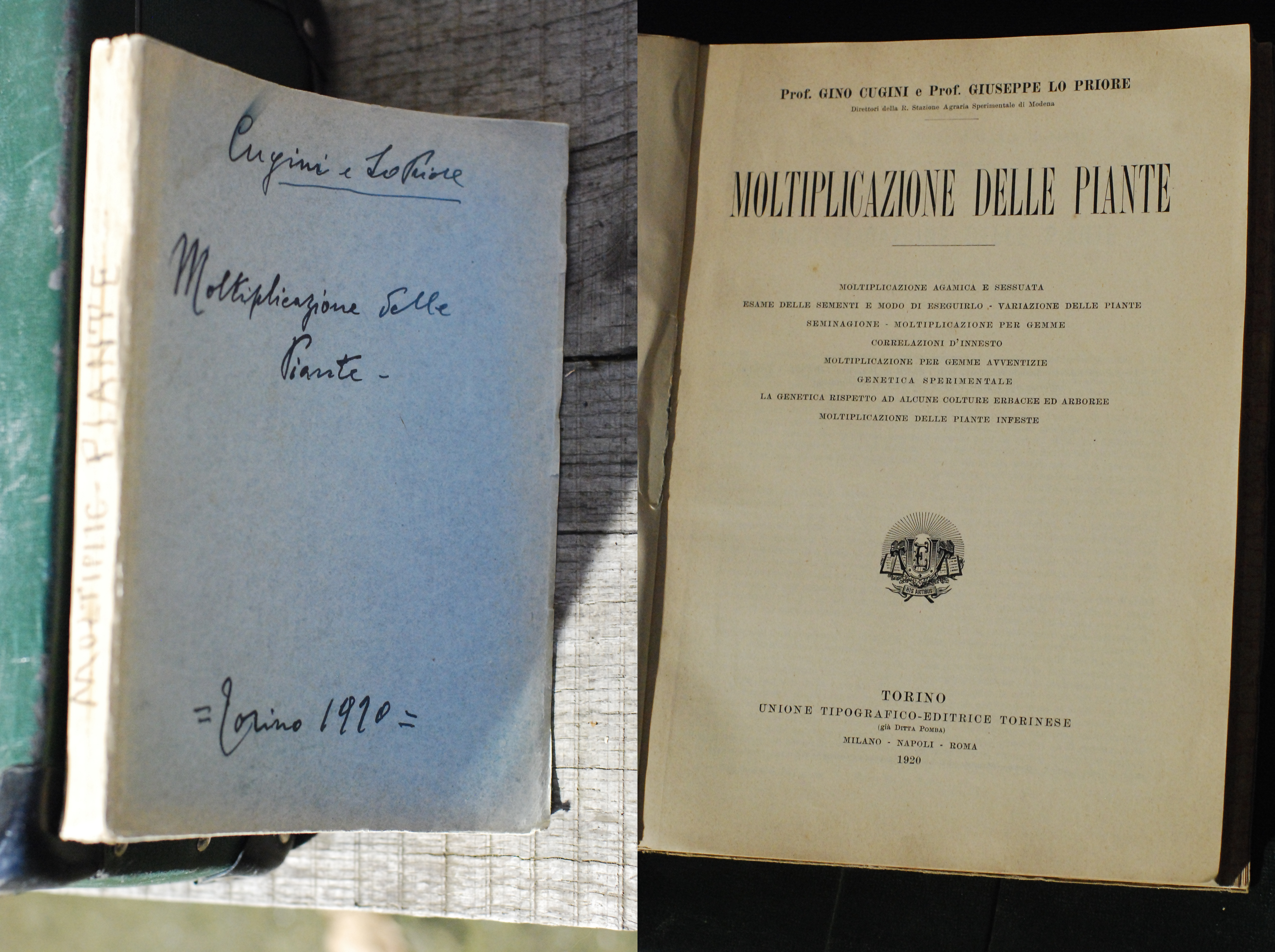 moltiplicazione delle piante